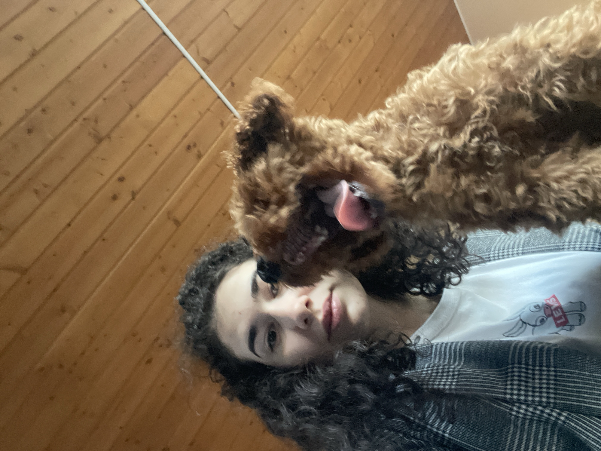 The image shows a woman with curly dark hair and fair skin lying down, wearing a white T-shirt with a cartoon donkey print and a grey plaid jacket. A brown curly-haired dog is close to her face, licking her cheek with its tongue visible. The background is a wooden wall with a white pipe running diagonally across the top left corner. The perspective is angled, taken from a low viewpoint. The location is not identifiable from this image.