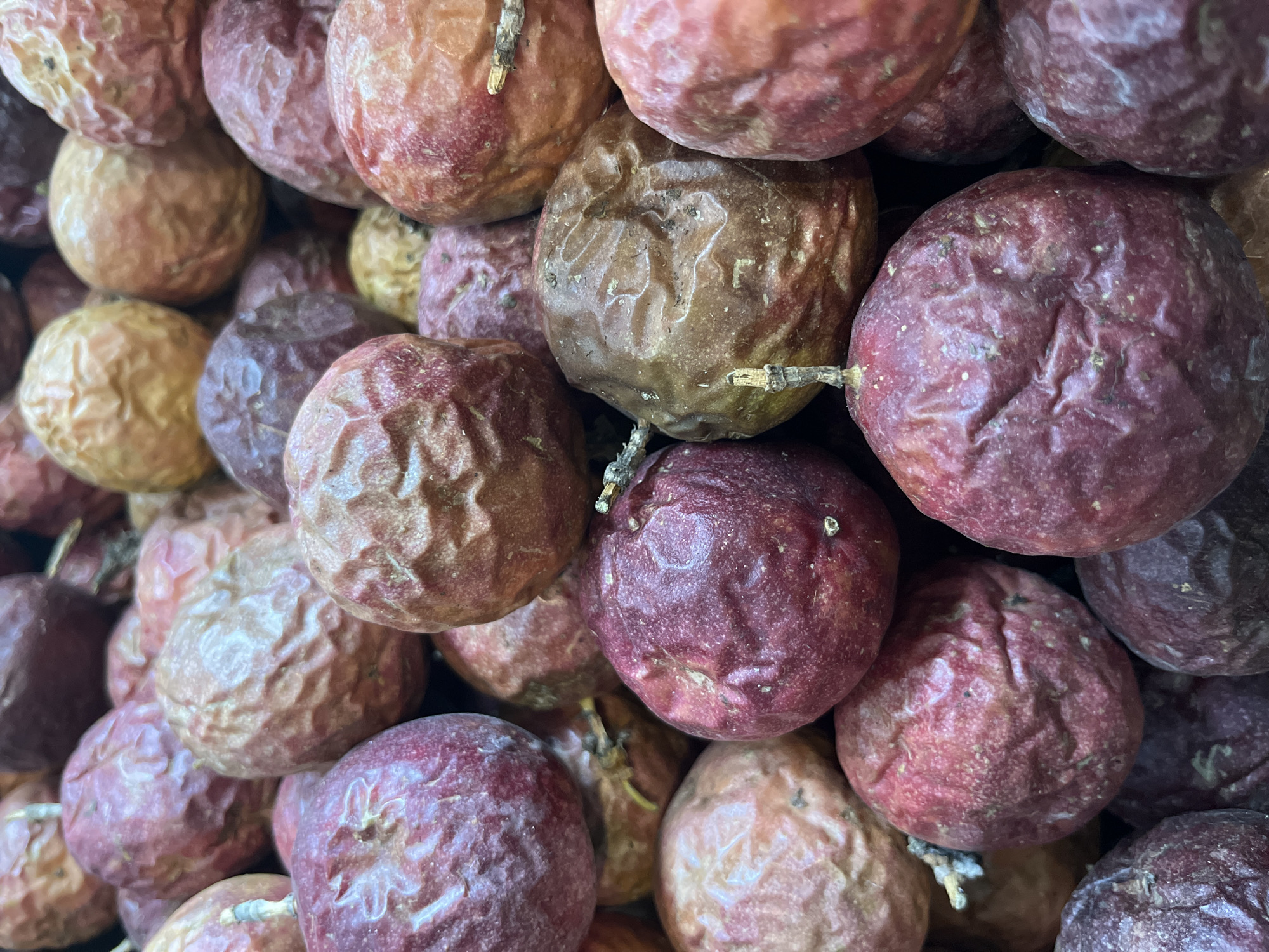The image shows a close-up view of a pile of passion fruits. The passion fruits are various shades of purple, brown, and reddish-brown, with wrinkled skin. Some have small stems attached. The scene appears to be indoors, possibly at a market or grocery store in a city of Unknown, Unknown, although no specific location details are discernible.