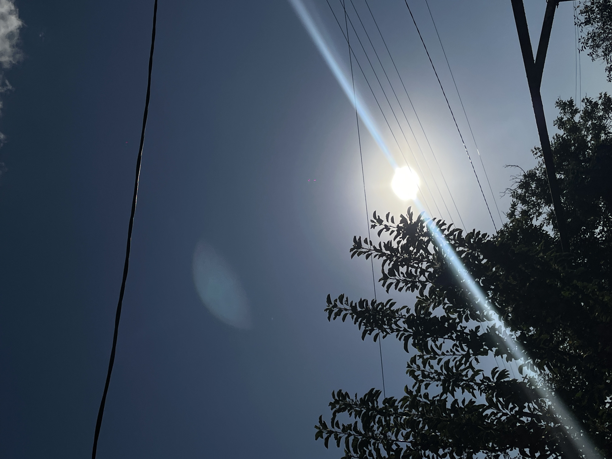 The image depicts a clear, blue sky with a bright sun visible near the center. The sun is partially obscured by the leaves of silhouetted trees in the foreground, which are dark green and dense. A prominent lens flare from the sun creates a diagonal beam of light across the image, extending from the lower left to the upper right. Several dark, thin power lines are stretched horizontally across the sky at different heights, intersecting with the trees and the light beam. In the upper portion of the sky, a few wispy white clouds are present. The scene appears to be outdoors, likely in a residential area or a park, given the presence of trees and power lines. The location is identified as Novopokrovskaya, Russia.