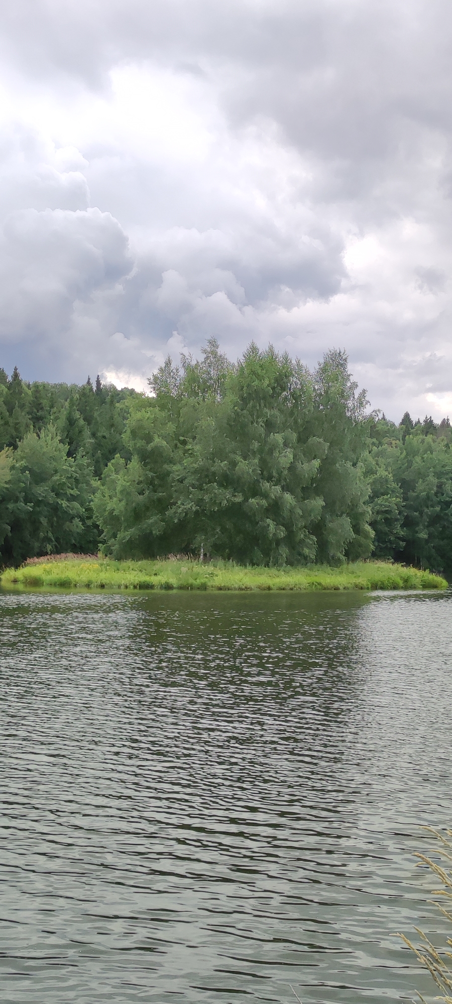 The image depicts a serene natural landscape with a body of water in the foreground and a dense forest bordering a grassy bank in the background. The sky is overcast with dramatic, dark clouds, suggesting an impending rain shower. The water's surface is rippled, reflecting the muted light. The forest consists of a variety of trees, predominantly green, with a cluster of lighter-colored deciduous trees in the center. A narrow strip of green grass with some sparse vegetation separates the water from the forest. The scene is devoid of any human presence or man-made structures, indicating a remote or undeveloped area. The image is a vertical, full shot.