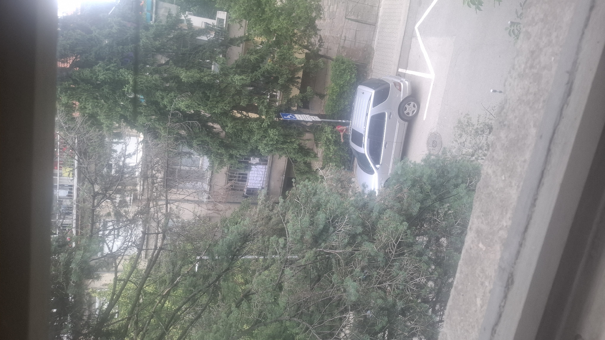 A silver SUV is parked on a paved street next to a building. The SUV has its sunroof open, and a person in a red shirt is leaning out of it. The scene is framed by trees and a concrete structure in the foreground. A blue sign with a white wheelchair symbol is visible on a pole near the car. The building appears to be residential, with balconies and windows visible. The overall impression is of an urban environment, possibly a residential street in Sofia, Bulgaria, given the presence of the wheelchair symbol sign, which is common in European countries.