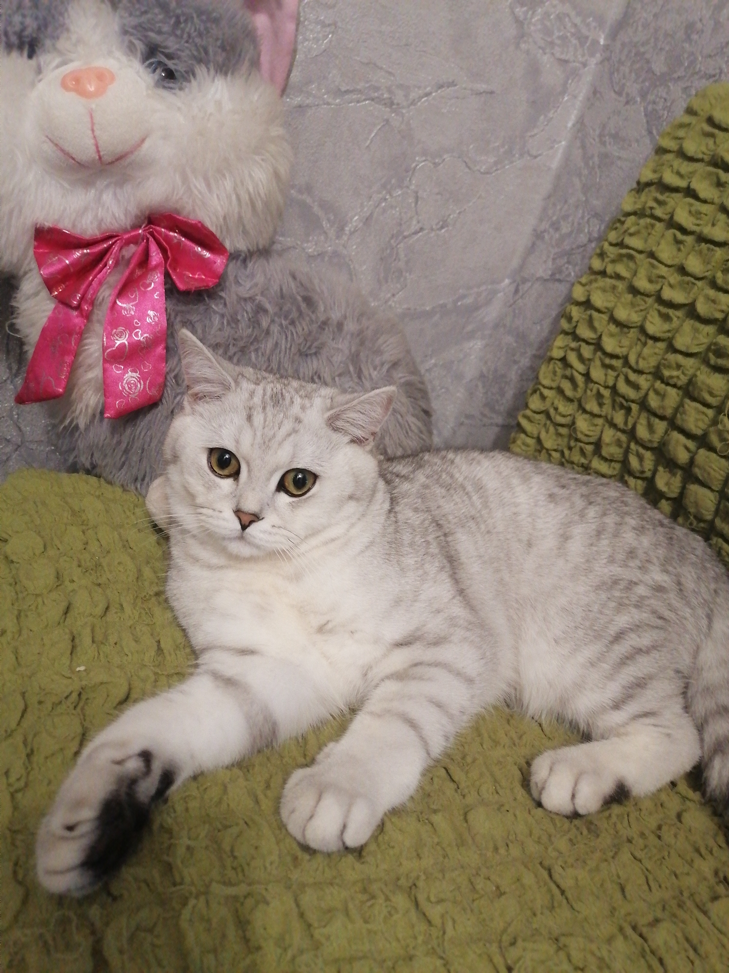 A light gray and white British Shorthair cat with tabby markings is lying on a textured green surface. The cat has yellow eyes and a pink nose. Behind the cat is a large grey plush toy cat with a pink bow tied around its neck. The plush toy is partially obscuring a textured grey background. A green textured pillow is to the right of the plush toy. The image appears to be taken indoors.