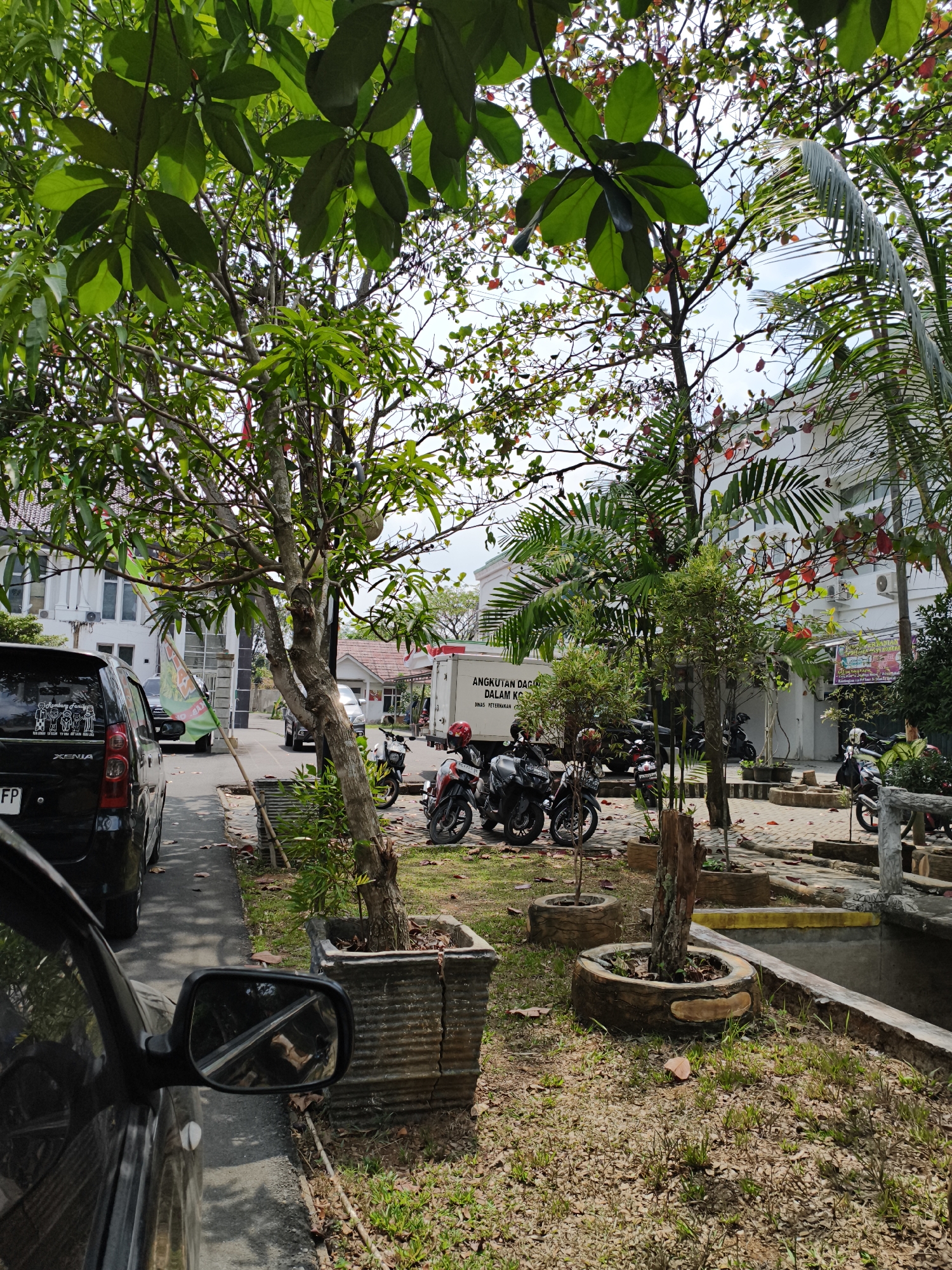 The image depicts a street scene in Kemelak Bindung Langit, Indonesia, characterized by lush greenery and parked motorcycles. In the foreground, a black vehicle is partially visible on the left, with its side mirror reflecting a person. Adjacent to the road is a patch of dry grass and scattered leaves. A large tree with prominent green leaves dominates the left side of the frame, its branches extending towards the sky.
Further into the scene, several motorcycles are parked. One motorcycle, black with red accents, is positioned in the mid-ground, facing right. Another black motorcycle with yellow accents is to its left, also facing right. Behind these, a white truck with text that appears to be Indonesian is visible. The truck's text includes "ANGKUTAN DAG" and "DALAM KO" which suggests it is for goods transport.
The background features a white building with multiple windows and air conditioning units, indicative of a commercial or institutional structure. Palm trees and other leafy vegetation are interspersed throughout the scene, contributing to a tropical ambiance. The sky is partly cloudy. Several planters, some containing small trees, are arranged on the right side of the frame, adding to the outdoor landscaping. The overall impression is of a well-maintained outdoor area adjacent to a building, with a focus on greenery and the presence of personal transportation.