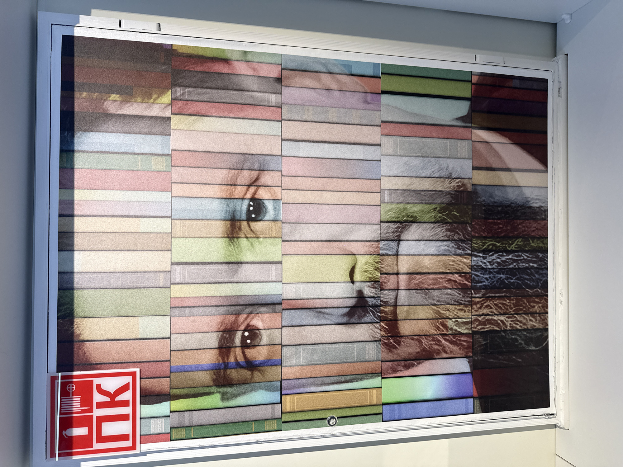 A close-up shot reveals a framed artwork featuring an image of a face composed of stacked books, seemingly displayed indoors. The artwork is bordered by a white frame and mounted on a white wall. To the left, a red sign with white markings is affixed to the frame. The subject matter of the face is difficult to determine exactly due to the book stack effect, but clear characteristics of a face are visible. The artwork appears to be positioned in a gallery or public space, indicated by the framing and wall display. The exact location is unknown, and the city of Moscow, Russia, cannot be confirmed from the visual information provided.