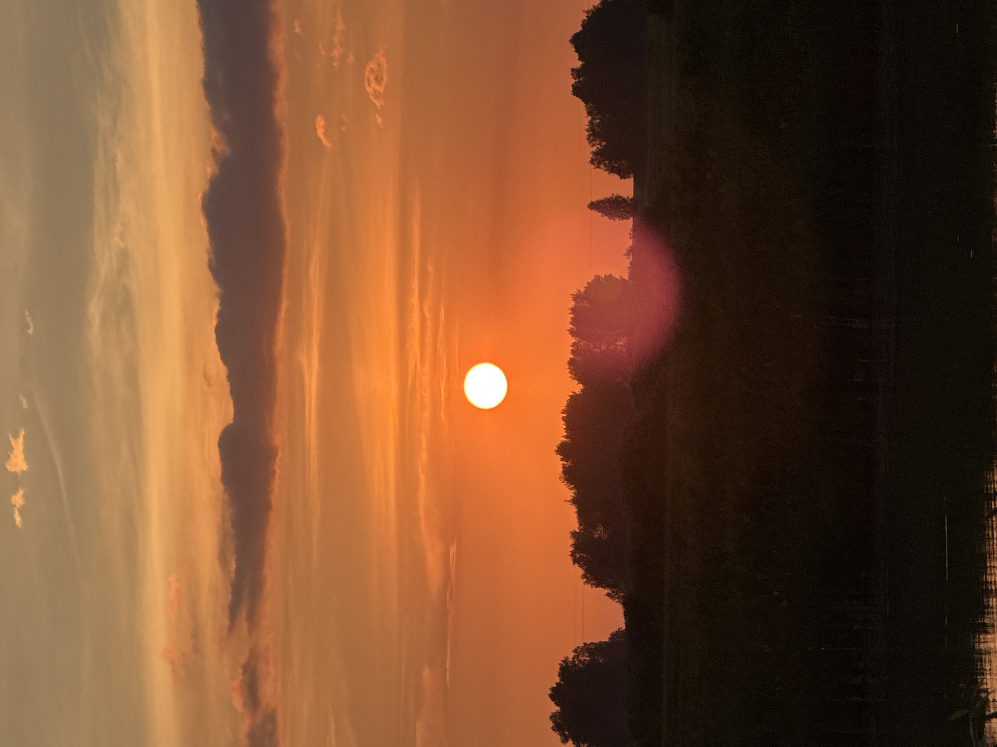 A vibrant sunset bathes the sky in hues of orange and yellow over a silhouetted landscape of trees and a body of water. The sun, a bright white disc, is positioned in the upper center of the frame, casting a lens flare of pink and red light onto the scene below. The sky is streaked with wispy clouds, some dark and heavy, others thin and translucent. The foreground is dominated by the dark shapes of trees and vegetation, with the faint glint of water at the bottom of the image. The image depicts a serene natural setting, likely in the rural outskirts of Бигила, Russia, during the twilight hours.