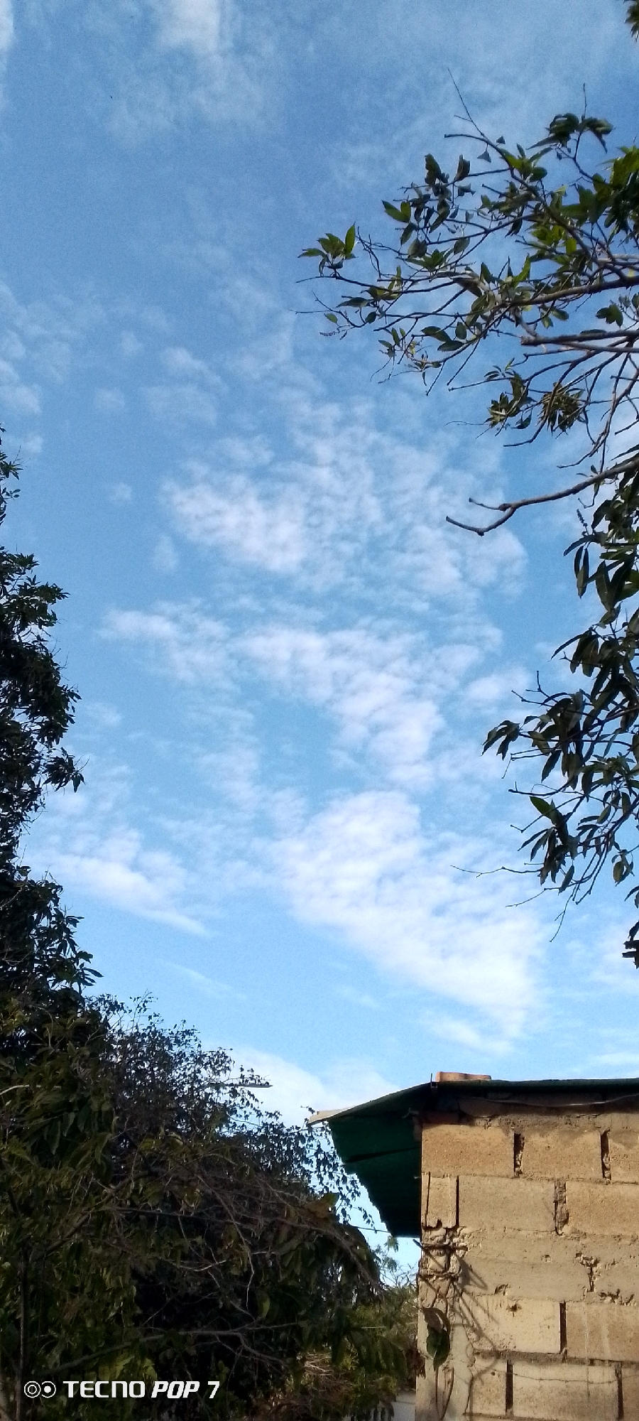 The image depicts a partly cloudy, blue sky framed by trees and a building. The building is constructed of cinder blocks. The picture was taken by a TECNO POP 7. It is not possible to verify the location in Altagracia, Venezuela from the visual information available. No people, subjects, actions, or interactions are visible.
