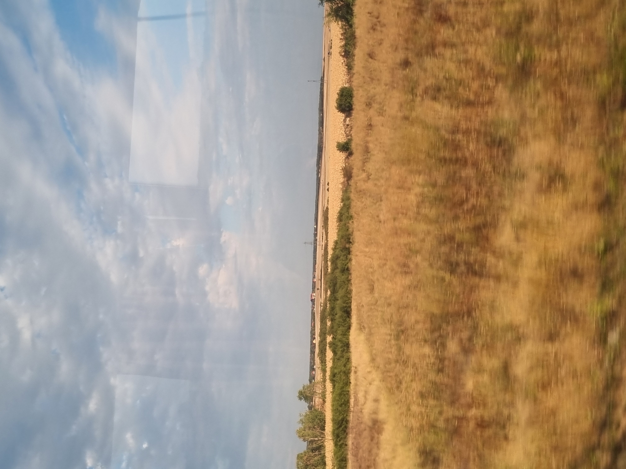The image shows a vast, dry, golden field under a cloudy sky. The field appears to be agricultural, with some green bushes and trees scattered throughout. In the distance, there are a few buildings and what appears to be a communication tower. The image seems to have been taken from a moving vehicle, as indicated by the blurriness of the foreground. The overall impression is one of a rural landscape in a dry season. The image does not provide any specific clues to the location within the city of Leș, Romania.