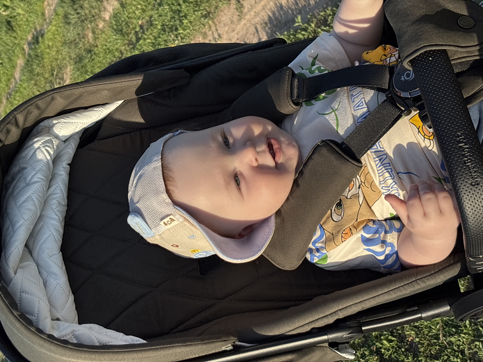 A baby is lying in a dark-colored stroller with white quilted lining. The baby is wearing a patterned shirt and a light-colored cap with blue trim. The baby is strapped into the stroller with black straps and is sticking their tongue out. The stroller is on grass, possibly in a park or outdoor area. The image was most likely not taken in Lukintsy, Russia because the stroller handle has English writing on it.