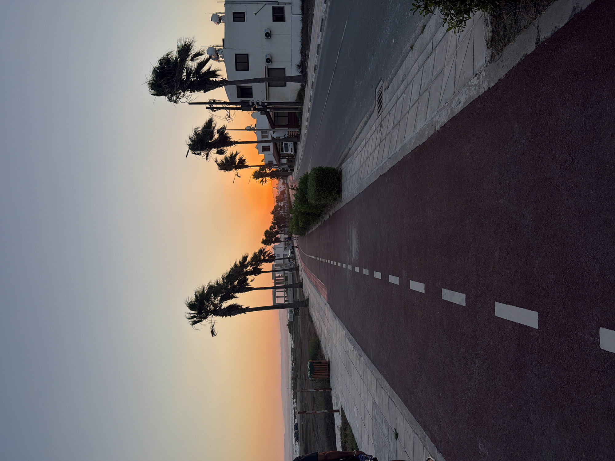 An outdoor, vertical, full shot captures a coastal road at sunset in Meneou, Cyprus. The sky displays a gradient of soft blues and oranges. A paved, dark red pedestrian/bicycle lane runs diagonally from the foreground into the distance, marked by a dashed white line. To the left of this lane is a light-colored sidewalk with a few trash bins. Beyond the sidewalk, there is a stretch of dry grass and further back, a body of water is visible. Palm trees with wind-swept fronds line the right side of the pedestrian lane, leaning towards the right. Adjacent to the palm trees is a road with parked cars and white buildings. These buildings are multi-story with dark windows and some have air conditioning units visible. A person is partially visible on the far left of the frame, wearing dark clothing. The overall scene is tranquil, with the setting sun casting a warm glow over the landscape.