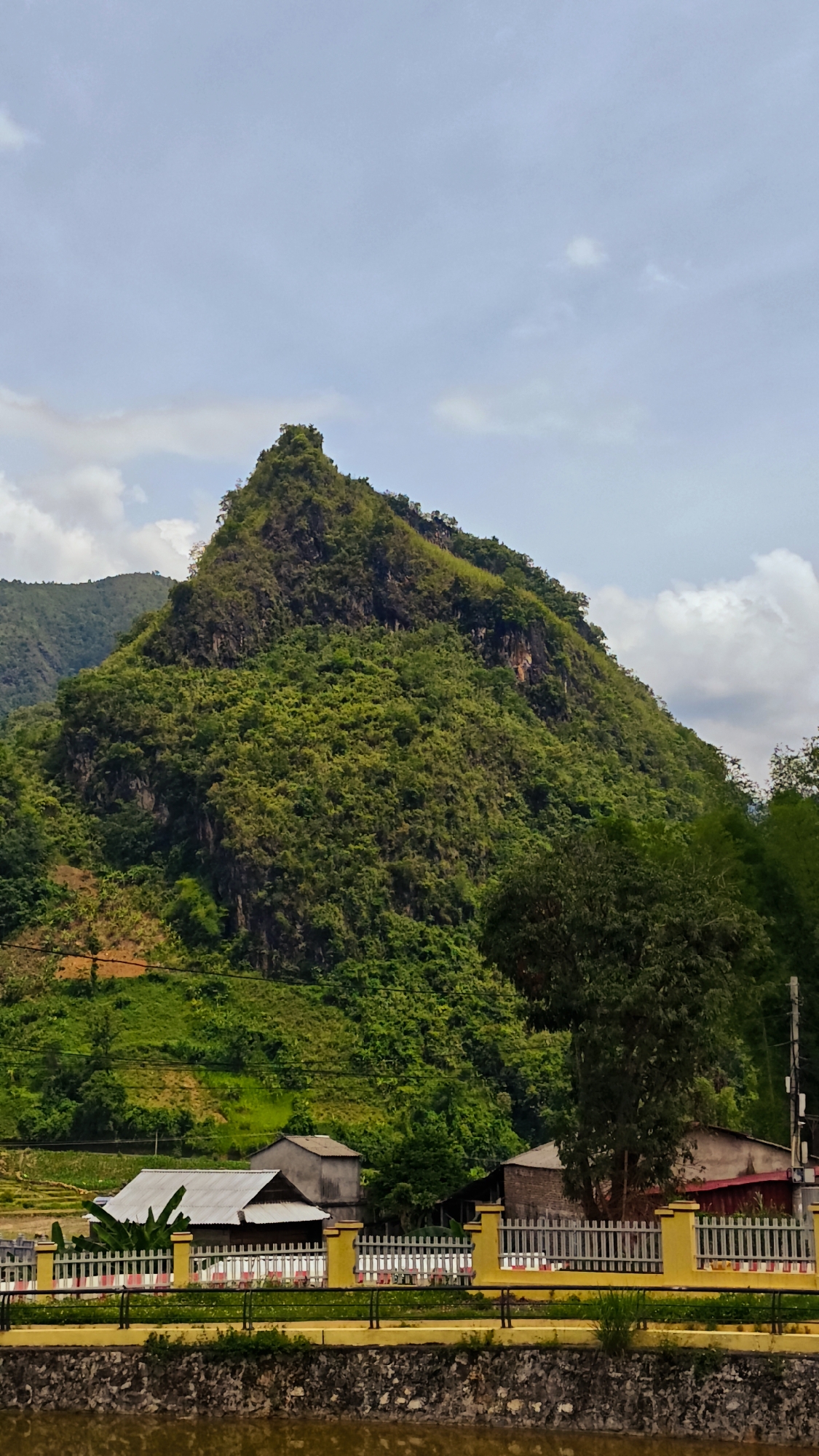 The media file presents a scenic landscape featuring a prominent, verdant mountain rising majestically under a partly cloudy sky. The mountain, a central subject of the image, is steep and covered in dense, lush green vegetation, with sections of exposed rock visible through the foliage, especially on its slopes. Its peak is pointed and heavily forested.
Below the mountain, in the mid-ground, lies a small, rural settlement. Several simple, single-story buildings are visible, some featuring corrugated metal roofs, nestled at the mountain's base. On the lower left slopes, terraced fields, likely for agriculture, can be seen. A distinctive bright yellow fence with white vertical pickets stretches across the mid-ground, acting as a clear boundary. To the far right, a utility pole with visible wires is partially captured.
In the immediate foreground, a stone wall forms the base of what appears to be a barrier or embankment, topped with a yellow railing that mirrors the fence behind it. The surface in front of this barrier, possibly water or a road, reflects the ambient light. The sky above is scattered with soft, white clouds, suggesting a daytime setting, likely late morning or early afternoon, with bright but diffused sunlight.
No people or animals are visible in the scene. The overall atmosphere conveys a sense of natural beauty and rural tranquility. The dense vegetation and mountainous terrain align with the geographical characteristics of Mường Kim, Vietnam. There is no visible text in the image.