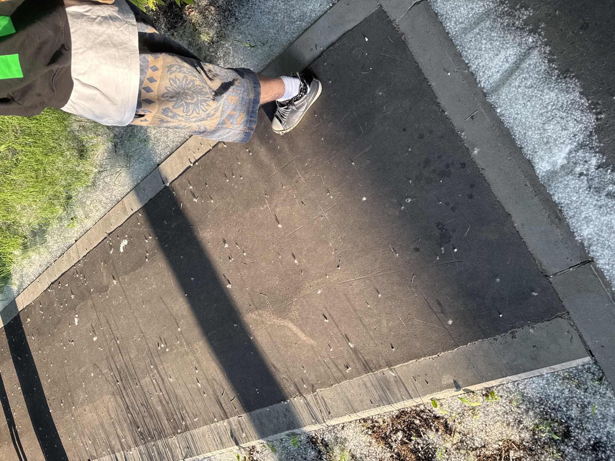 An overhead shot captures a person standing on a paved outdoor pathway in Moscow, Russia, during what appears to be late spring or early summer. The individual is visible from the waist down, wearing a black hoodie with a bright green square logo, a white t-shirt, patterned shorts featuring a blue, tan, and gray design, white socks, and dark sneakers.
The pathway is composed of dark asphalt slabs edged by concrete curbing. On one side of the path, vibrant green grass is visible, while the other side features a strip of bare soil interspersed with small green sprouts. The entire scene is heavily covered with a significant amount of white, fluffy material, consistent with poplar fluff or cottonwood seeds. This fluff is particularly dense along the edges of the pathway, on the grass, and on the soil, giving the impression of a light snowfall. Sparse clusters of this fluff are also scattered across the asphalt.
Long, distinct shadows are cast across the pathway, indicating either early morning or late afternoon sunlight, suggesting clear, sunny weather conditions. No discernible text is visible beyond the distinct green square on the hoodie.