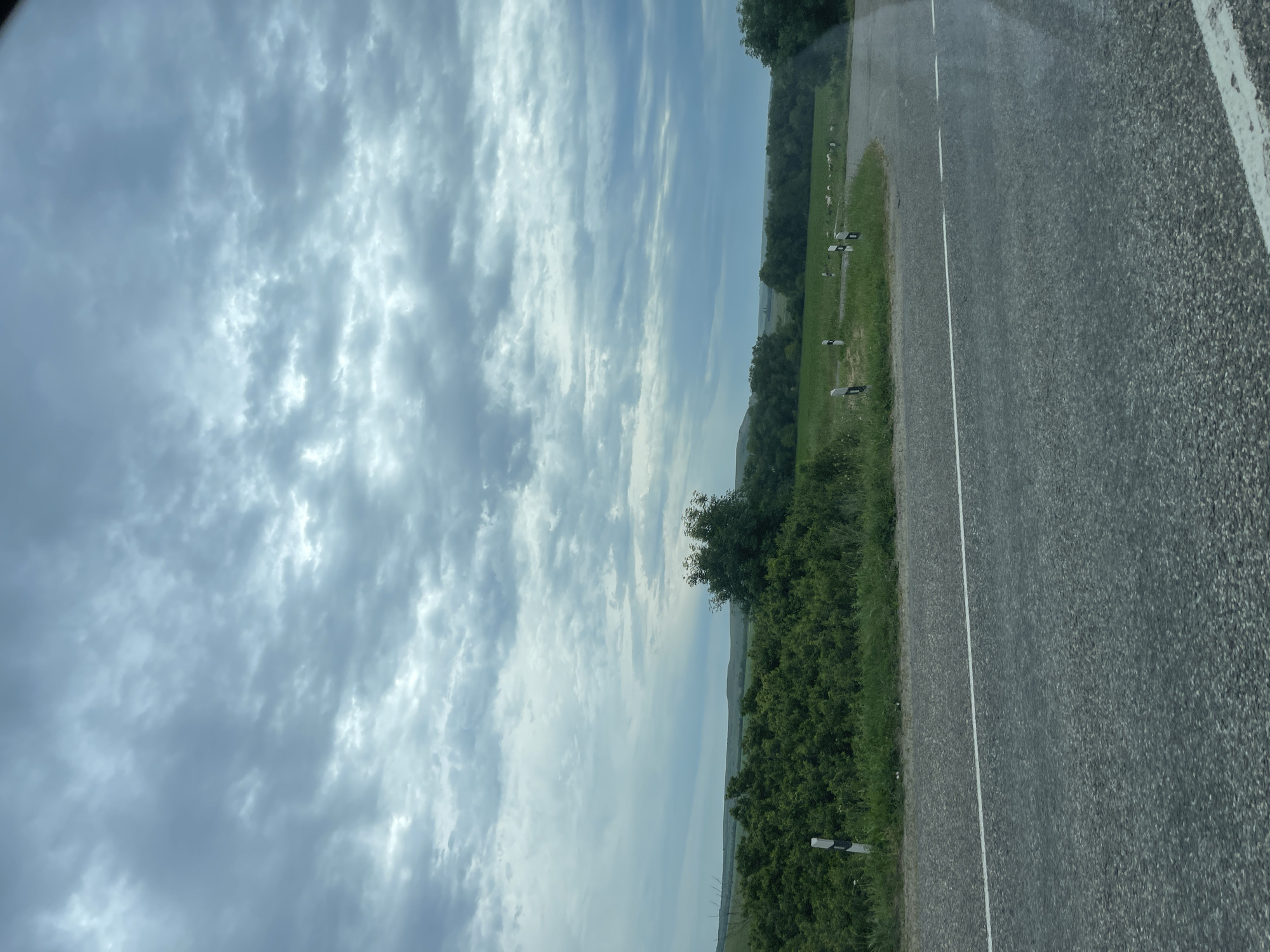 The image shows a view from a vehicle on a road in Moskovskoe, Russia. The road curves to the right, bordered by a grassy shoulder with a white line marking its edge. Beyond the shoulder, there is dense green vegetation and trees. In the distance, rolling hills are visible under a cloudy sky. Several white and black road markers are positioned along the side of the road. In the background, a flock of white animals, likely sheep, can be seen grazing in a green field. The overall scene depicts a rural landscape with overcast weather.