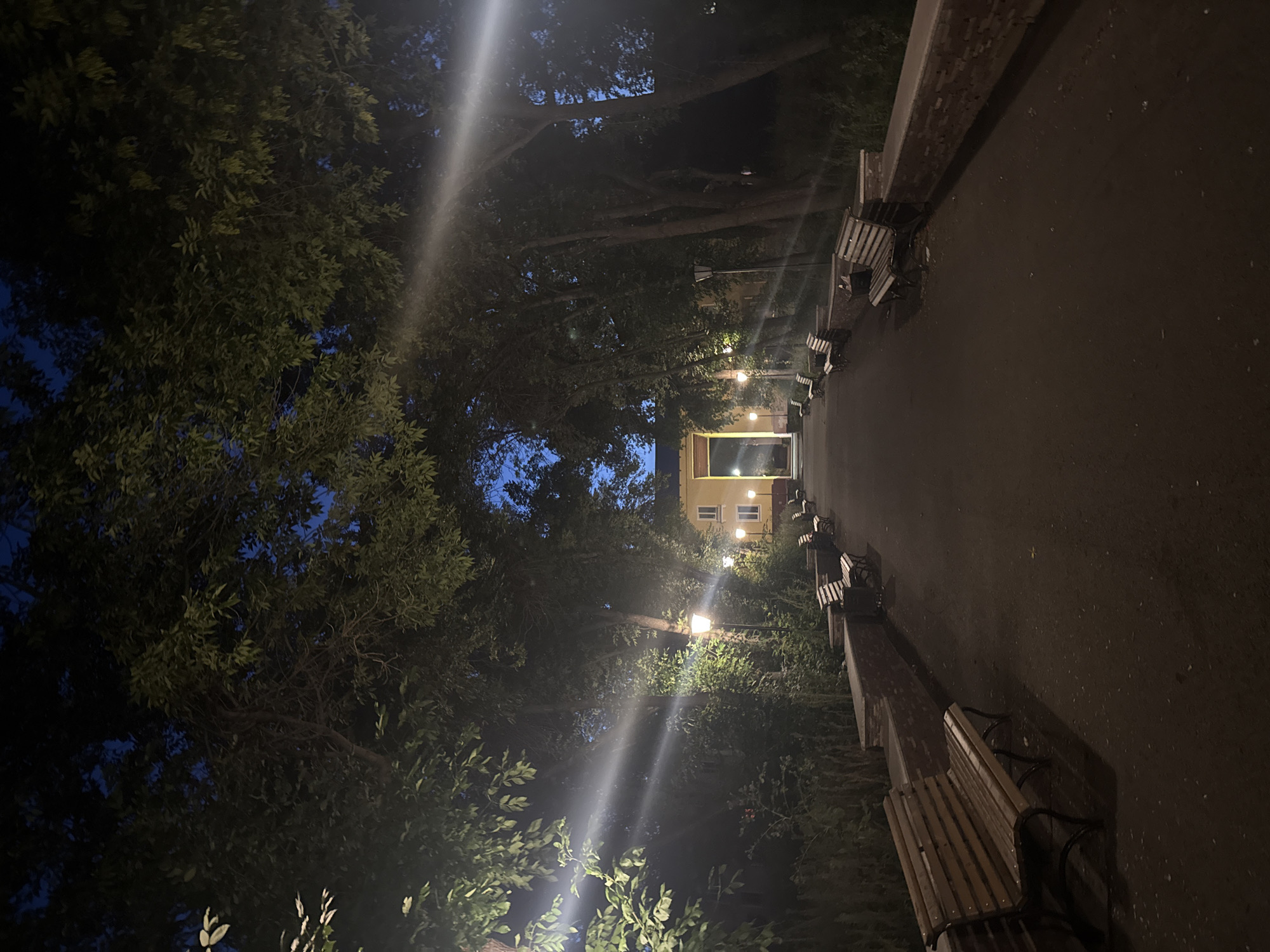 The image depicts a park-like setting at dusk or night, with a pathway lined by benches and trees. The pathway leads towards a building with yellow walls and a prominent archway. Several streetlights illuminate the scene, casting beams of light through the foliage. The ground is paved, and there are benches on both sides of the pathway. The trees are dense, with dark green leaves, and their branches arch over the path, creating a tunnel-like effect. The sky is a deep blue, indicating the late hour. The overall atmosphere is serene and somewhat mysterious, enhanced by the low light conditions. This scene is located in the city of Magnitogorsk, Russia.