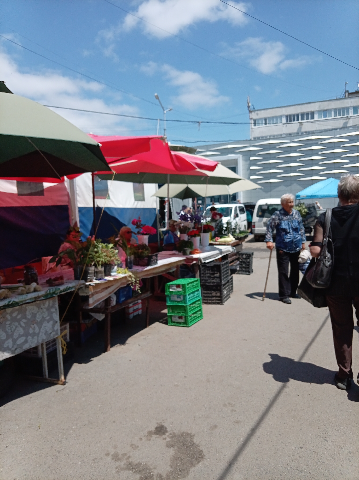 A medium-shot, eye-level outdoor market scene is depicted under a bright, partly cloudy sky. In the foreground, a vendor's stall is partially visible, featuring items laid out on tables draped with patterned cloths. To the left, a large, multi-colored umbrella, likely red and green, provides shade. In the middle ground, an elderly woman with white hair, wearing a blue patterned shirt and dark pants, walks with a cane, casting a shadow on the asphalt. Behind her, two white vans are parked. Further back, a large, modern building with a patterned facade and many windows is visible. Two other market stalls with umbrellas are present, one red and one light blue. The ground is paved with asphalt, showing some water stains.