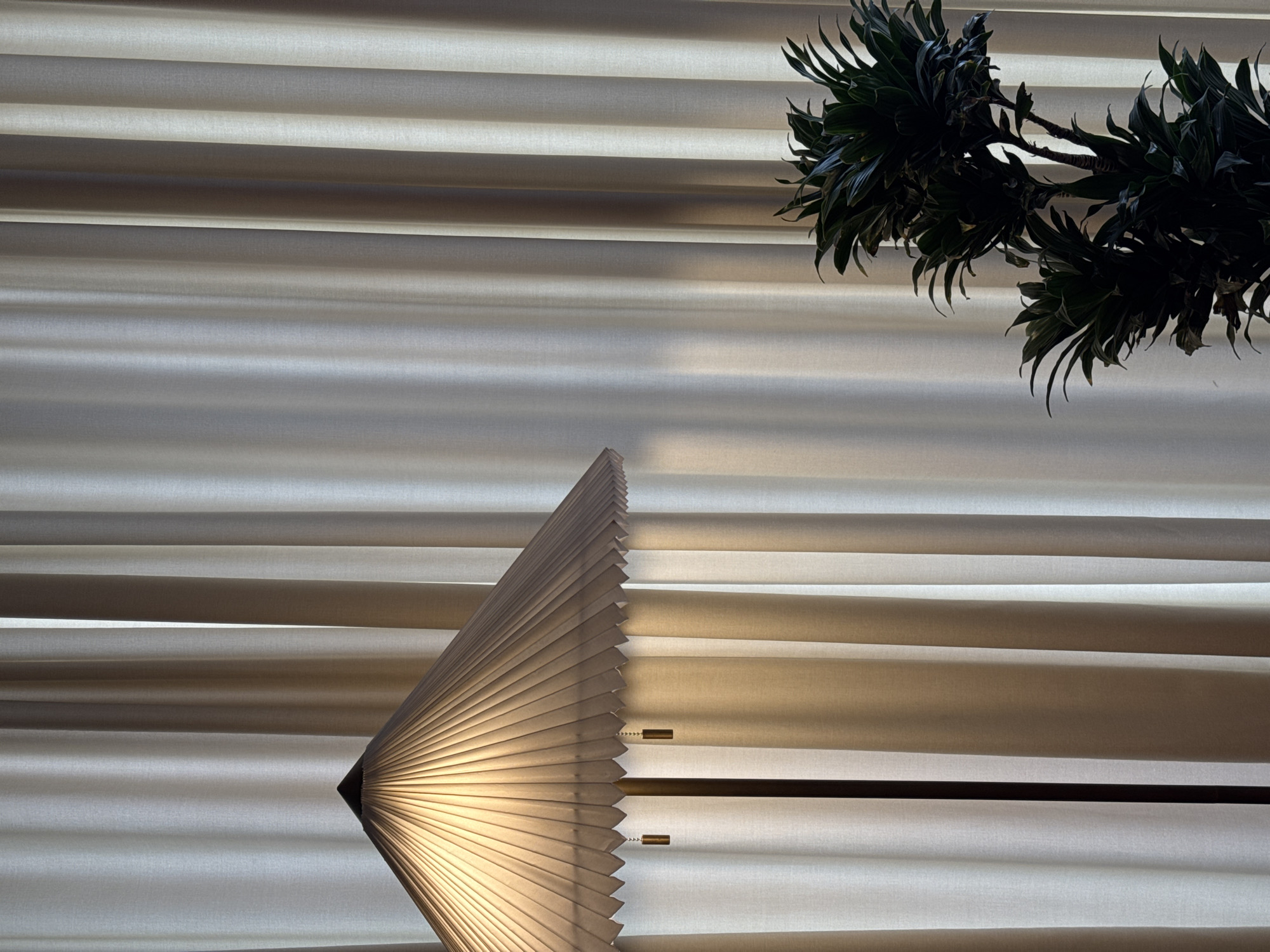 The image shows an indoor scene with horizontal blinds as a backdrop. A lampshade with a pleated design, illuminated from within, is positioned in front of the blinds. A dark-green plant with elongated leaves hangs from the top right corner of the frame. The location is Yerevan, Armenia.