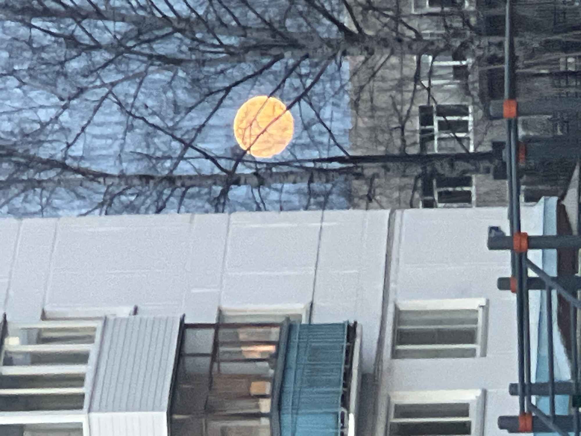 The image appears to show the moon, which is slightly obscured by the branches of a tree. The location is inferred to be Chaikovsky, Russia. The moon has a yellow glow. Below the moon and tree, there is a white building with visible windows and a corrugated metal roof. To the right of the building, there is scaffolding. No people are visible in the image.