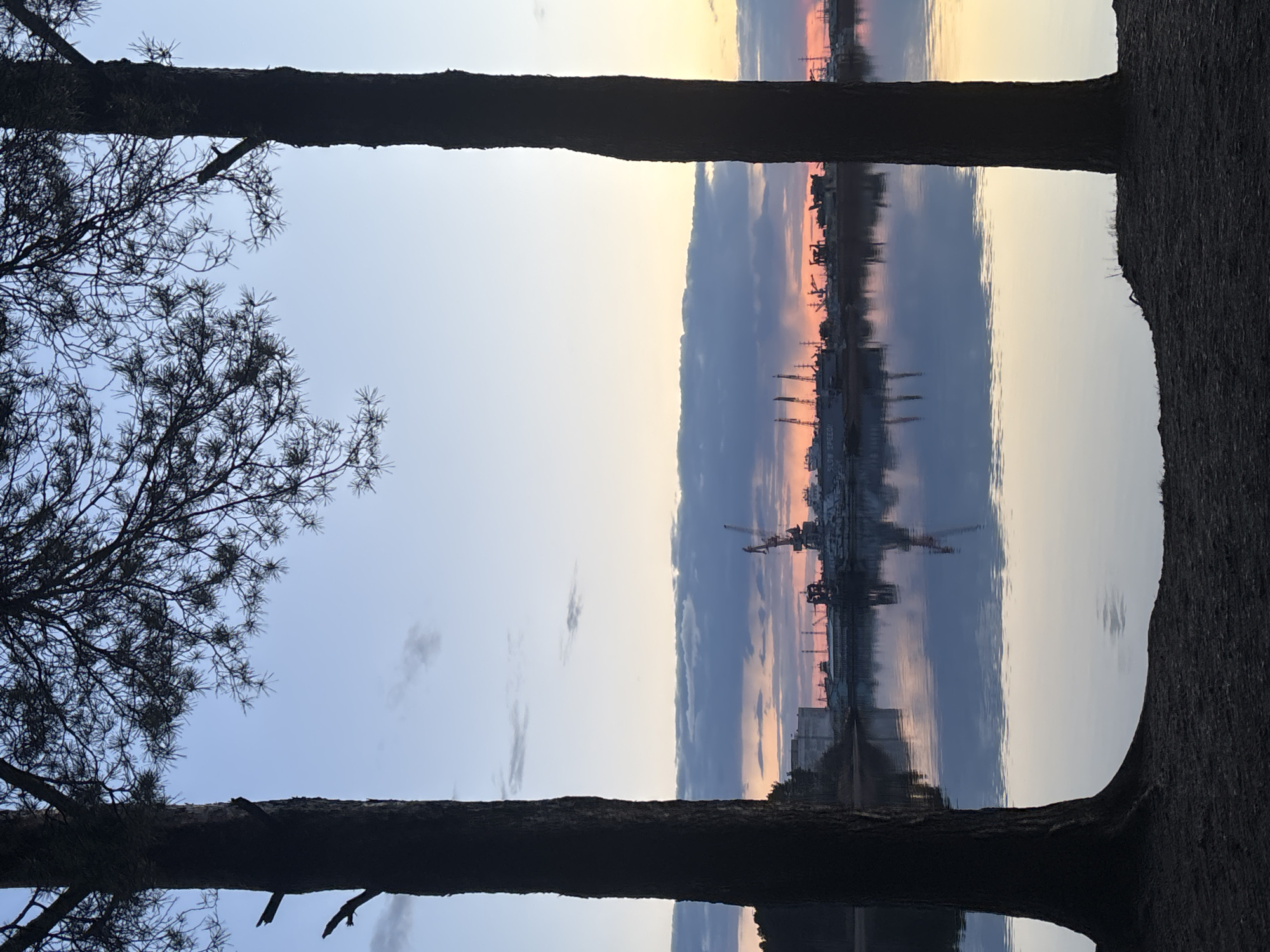 The image, taken with a vertical orientation, captures a serene waterscape framed by dark tree trunks, likely pines. Two thick, dark tree trunks stand on the left and right edges, partially obscuring the view but also creating a natural frame. The trunk on the left has visible branches and needles reaching into the sky area.
Between the trees, a wide body of water, possibly a river or lake, stretches horizontally across the middle of the frame. The water beautifully reflects the sky above, creating a nearly symmetrical mirror image.
The sky exhibits soft, gradient hues of light blue, transitioning into delicate pinks and oranges towards the right, indicative of either sunrise or sunset. A band of darker, possibly cloud-laden, sky runs horizontally across the middle, reflecting prominently in the water below.
In the far distance, across the water, various industrial structures, including multiple cranes and buildings, are visible as dark silhouettes against the vibrant sky. Their reflections are also clearly depicted in the slightly rippled water.
The overall scene conveys a tranquil atmosphere, emphasizing the natural beauty of the sky and water, contrasted with the distant human-made structures. No specific activity or event is taking place, and no visible text is present. Given the context, this scene is likely from Chaikovsky, Russia.