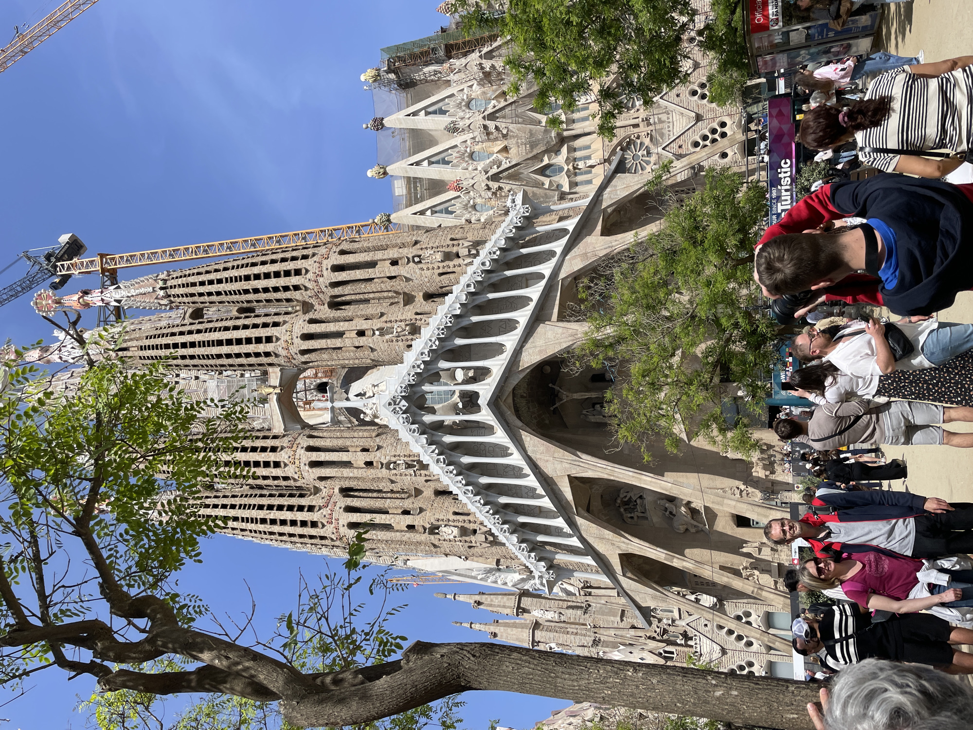 This vertically oriented image captures a bustling daytime scene outside the iconic Sagrada Familia basilica in Barcelona, Spain. The magnificent architectural marvel dominates the left and center of the frame, showcasing its intricate and unique design, characterized by detailed stone carvings, multiple spires, and a blend of Gothic and Art Nouveau styles. Construction is visibly ongoing, with several large yellow and grey cranes extending above the upper sections of the basilica's towers, indicating its perpetual state of completion.
A clear, bright blue sky forms the backdrop, suggesting sunny weather. In the foreground and midground, a sizable crowd of people, largely tourists, are gathered. They are casually dressed and appear engaged in sightseeing, with many observing the basilica or taking photographs. A dark tree trunk with green foliage partially frames the lower left of the image, adding a natural element to the urban setting.
Visible text on a blue and purple sign in the mid-right reads "...Turístic," which is Catalan for "Tourist" or "Touristic," further emphasizing the location's popularity. A red sign above it also shows the word "Official." The overall atmosphere is one of vibrant activity typical of a major global landmark.