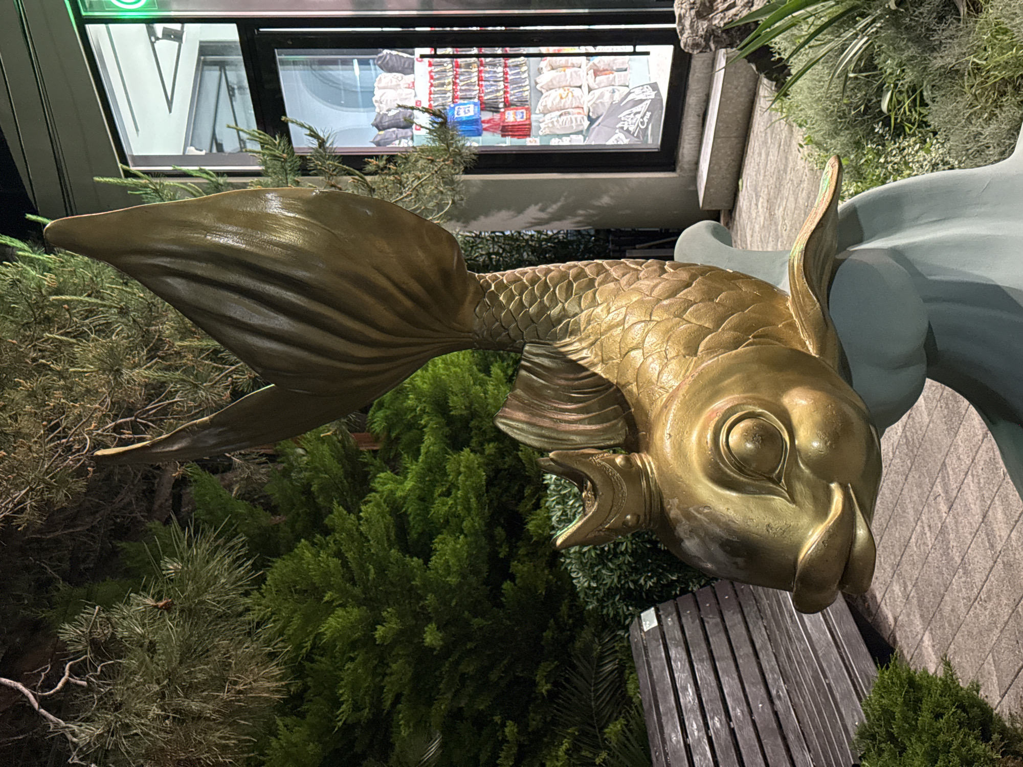 A bronze fish statue faces the right, against a backdrop of green shrubbery and a tiled grey wall. Part of a green sign is visible above a storefront window, which has merchandise displayed in it. The statue sits near a wooden bench. The fish seems to be outdoors in the city of Sochi, Russia.