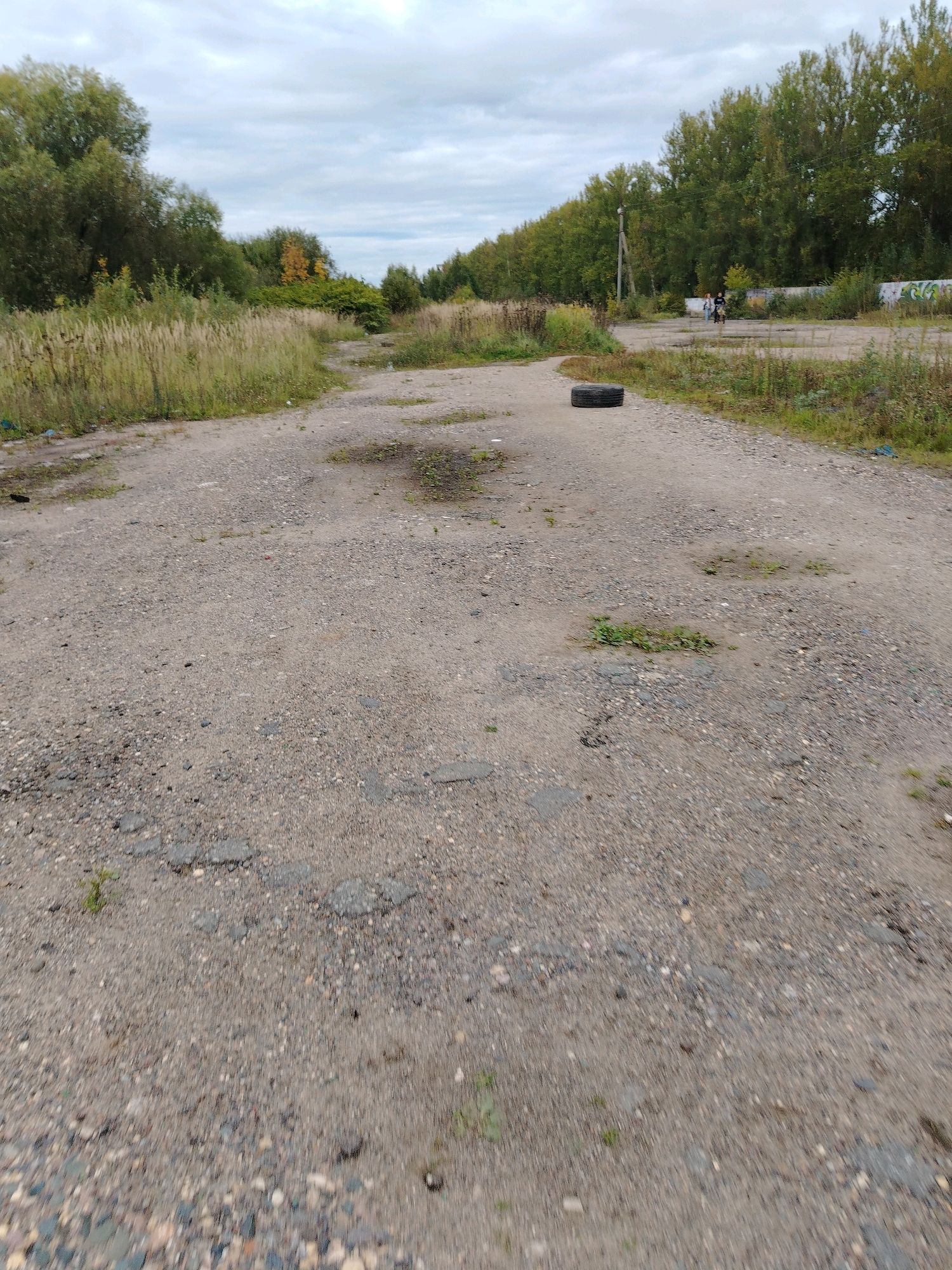 The image depicts an unpaved road with a rough, gravelly surface, indicative of a rural or semi-urban setting. The road is flanked by tall, dry grass and a dense line of trees, suggesting a natural or overgrown environment. In the distance, a low concrete wall with graffiti is visible, and a few individuals are seen walking along the road. A lone tire lies on the ground in the middle of the road. The sky is overcast with clouds. Based on the visual cues such as the vegetation, the style of graffiti on the wall, and the general atmosphere, the scene is consistent with an area in the city of Yaroslavl, Russia.