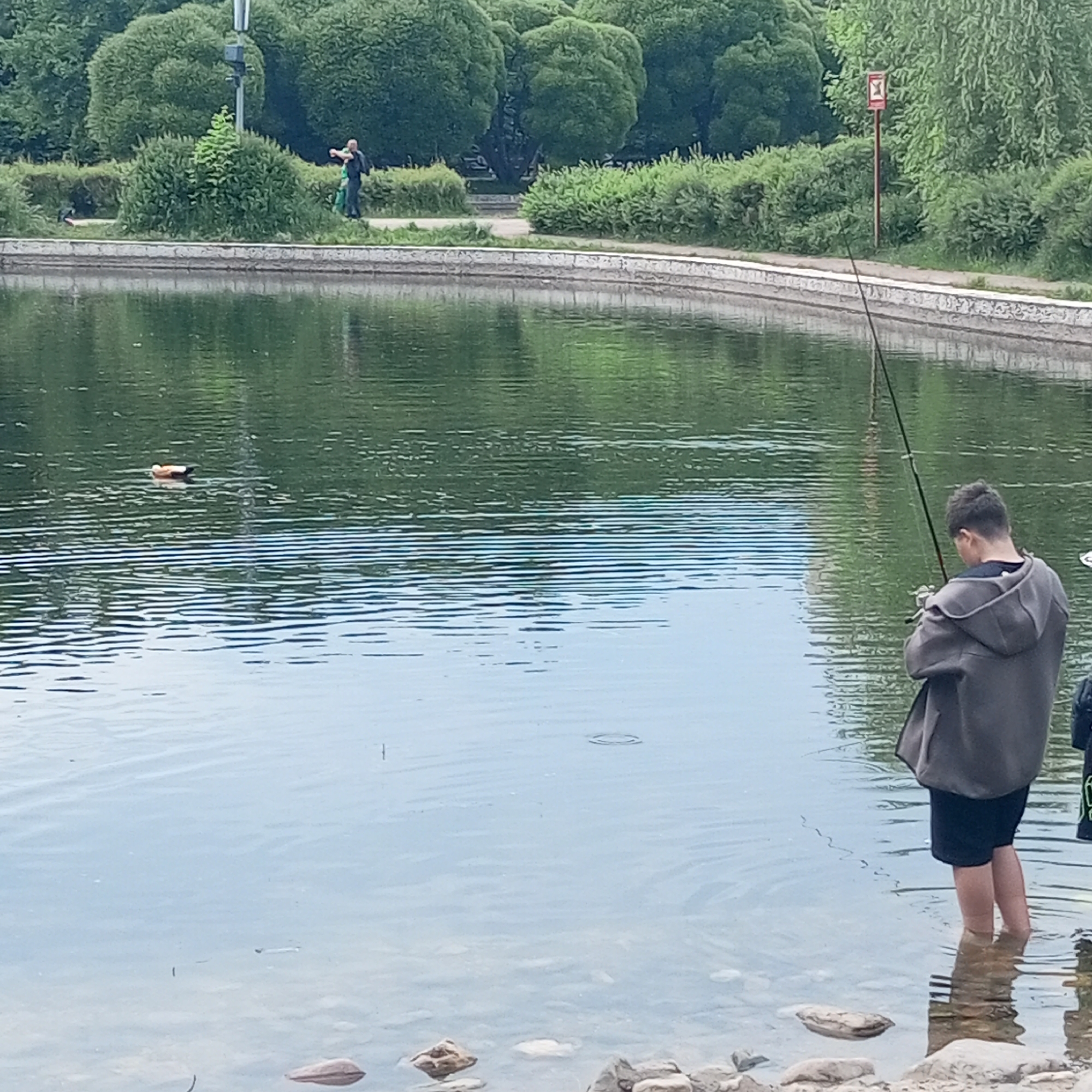 A boy is fishing in a pond in a park in Moscow, Russia. The boy is standing in the shallow water at the edge of the pond, holding a fishing rod. The pond is surrounded by trees and bushes. A duck is swimming in the pond. A sign with a red and white symbol is visible in the background. The water is calm and reflects the surrounding trees.