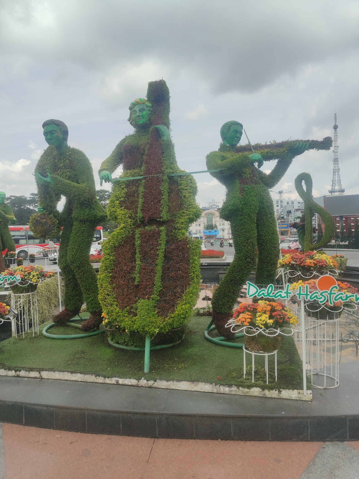 This image captures a topiary display of a musical quartet in what appears to be a public space in Dalat, Vietnam. The central figures are three human-like topiaries sculpted from green foliage. The leftmost figure stands holding a circular object, possibly a drum. Next to it is a larger figure, also a topiary, representing a cellist, with a large cello-shaped sculpture. To the right, a third topiary depicts a violinist playing an instrument. These figures are arranged on a raised, grassy platform bordered by a dark-colored curb. Surrounding the display are decorative planters filled with vibrant orange, yellow, and red flowers. A white metal sign with green lettering reads "Dalat Hasfarm," indicating the probable location or sponsor of this horticultural art. In the background, typical urban elements are visible, including buildings, a red and white bus, and a telecommunications tower. The sky is overcast, suggesting a cloudy day. The overall scene is a public art installation celebrating music and nature.