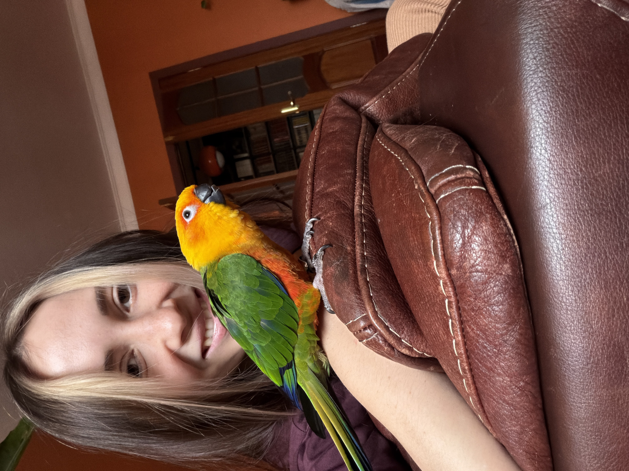 A woman with light brown hair and blonde highlights is smiling and looking at the camera. A sun conure parrot with yellow head, orange breast, and green wings is perched on her arm, close to a brown leather chair. The background includes a partially visible room with a bookshelf. The location is not discernible from the image.