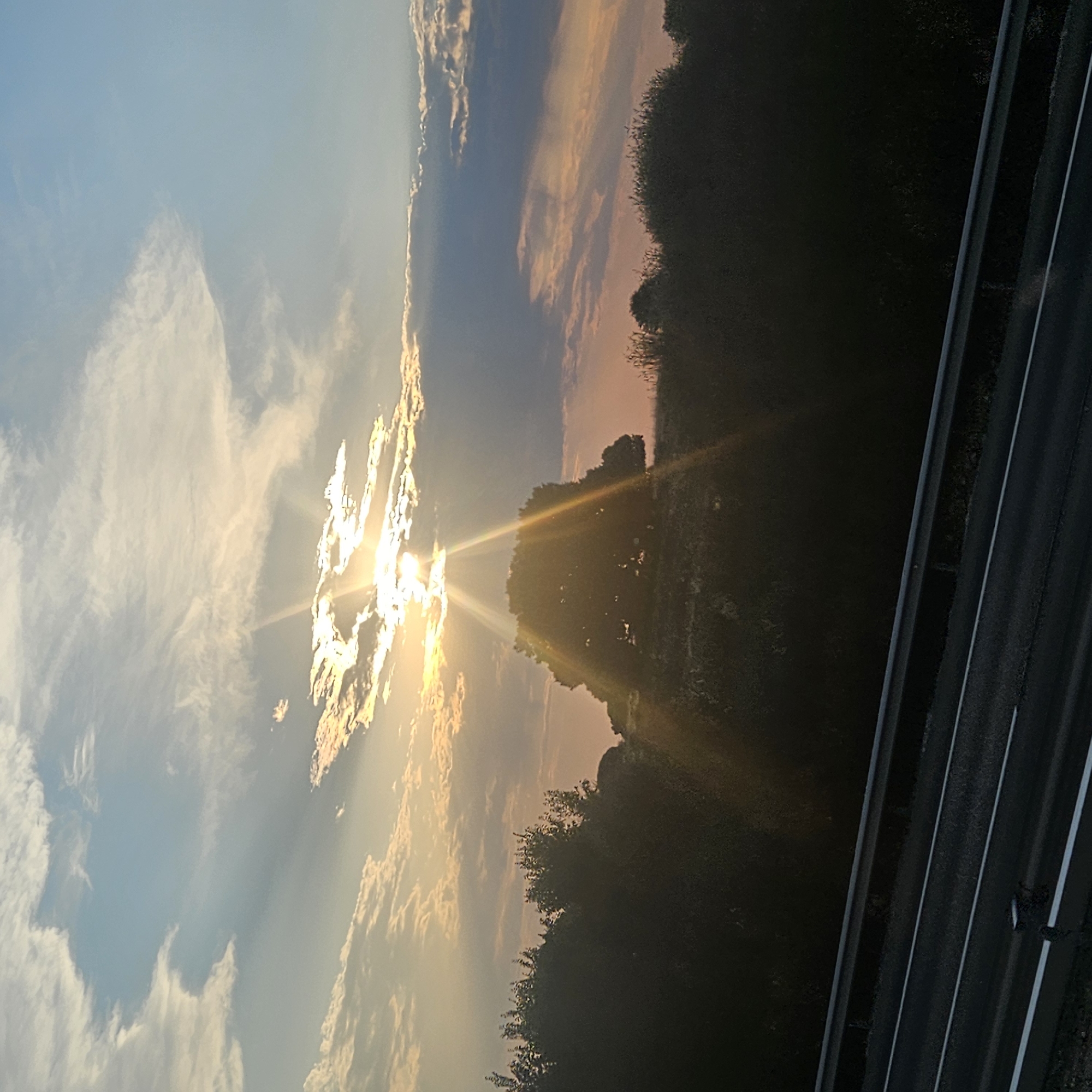 A landscape photograph captures a sunset over a rural area. The sun, partially obscured by clouds, casts golden rays through the sky. A solitary, large tree with a full canopy stands silhouetted against the vibrant sky. In the foreground, a dark, dense treeline stretches across the scene, with a road or highway visible at the bottom, featuring lane markings and a guardrail. The overall impression is one of a serene, natural environment at dusk, possibly on the outskirts of Torremocha del Campo, Spain.