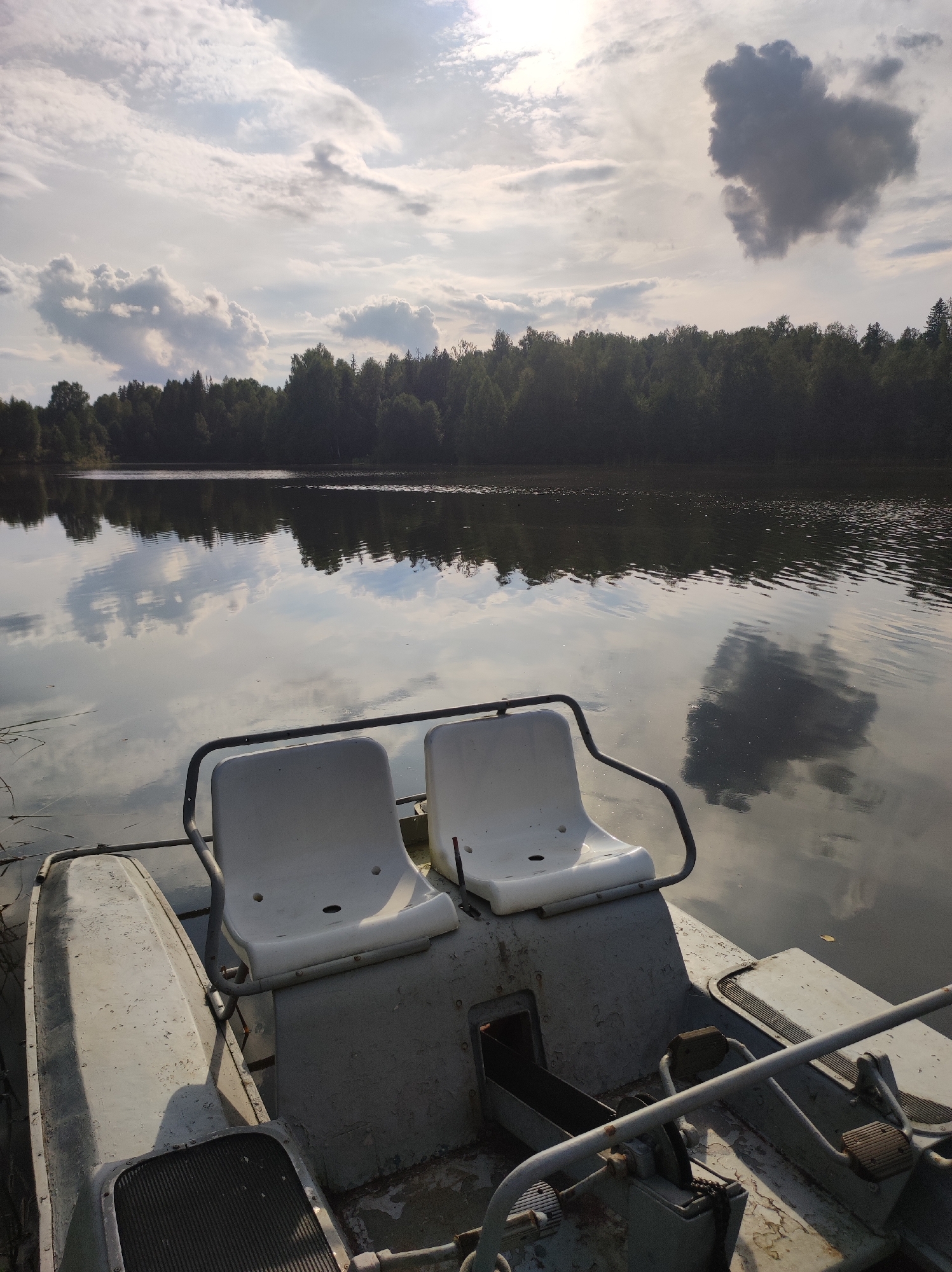 A pedal boat with two white plastic seats is positioned on a calm body of water, with a dense forest line visible in the background under a cloudy sky. The water reflects the trees and the sky, including a prominent dark cloud. The boat's interior shows weathered metal components and pedals. The scene is likely captured in Zhigalki, Russia, given the context provided.