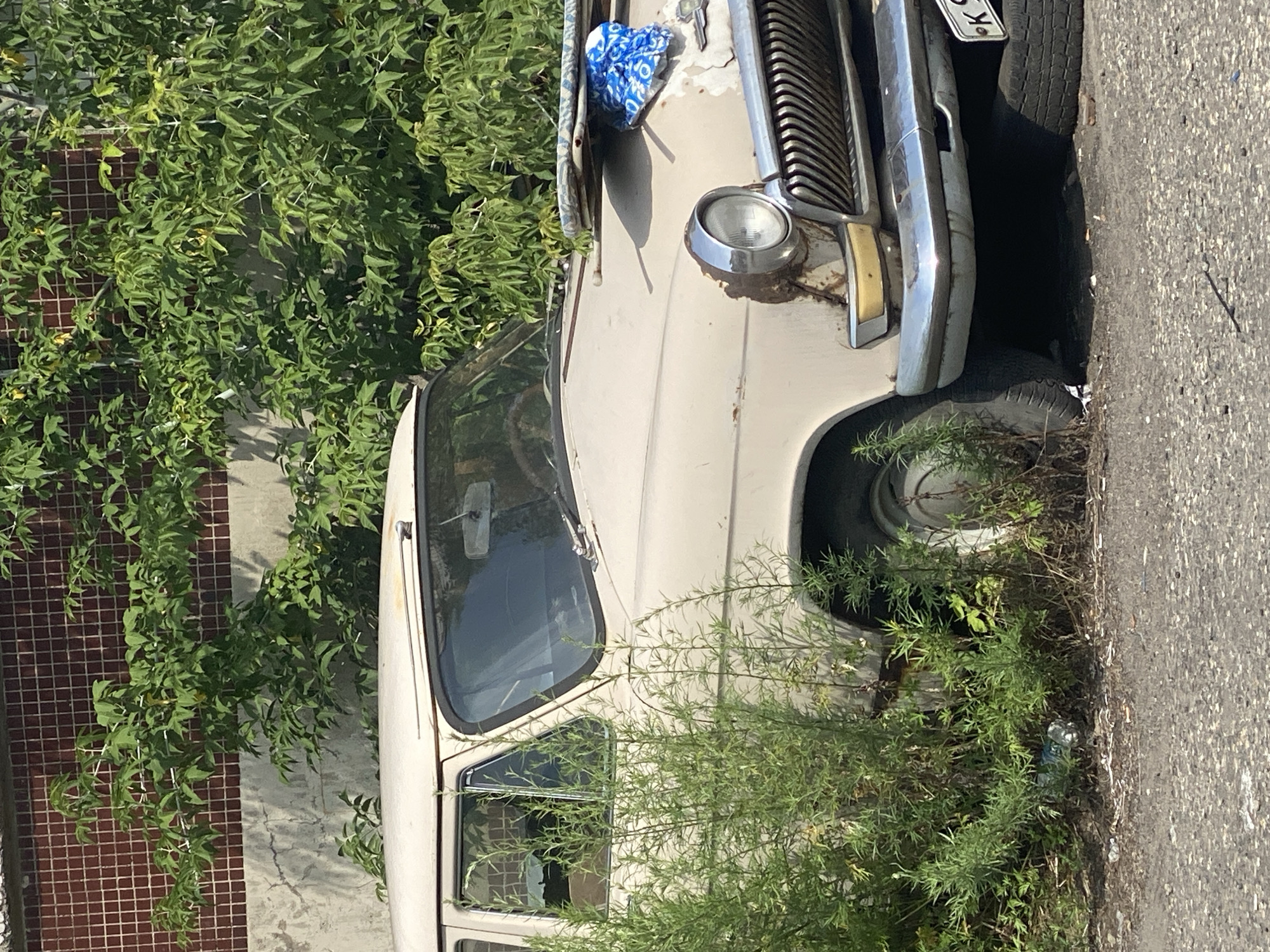 An abandoned, light-colored sedan, possibly a GAZ-24 Volga, sits partially obscured by overgrown green foliage. The car exhibits signs of age and disrepair, including rust spots, particularly around the headlight and fender. The front grille is intact, and the chrome bumper appears weathered. A blue patterned cloth is draped over the hood, next to what looks like an ironing board. The car is parked on an asphalt surface, with a brick wall and more vegetation forming the background. The scene suggests a neglected urban or suburban area in Novokuznetsk, Russia, likely a junkyard or a forgotten lot. No people are visible.
