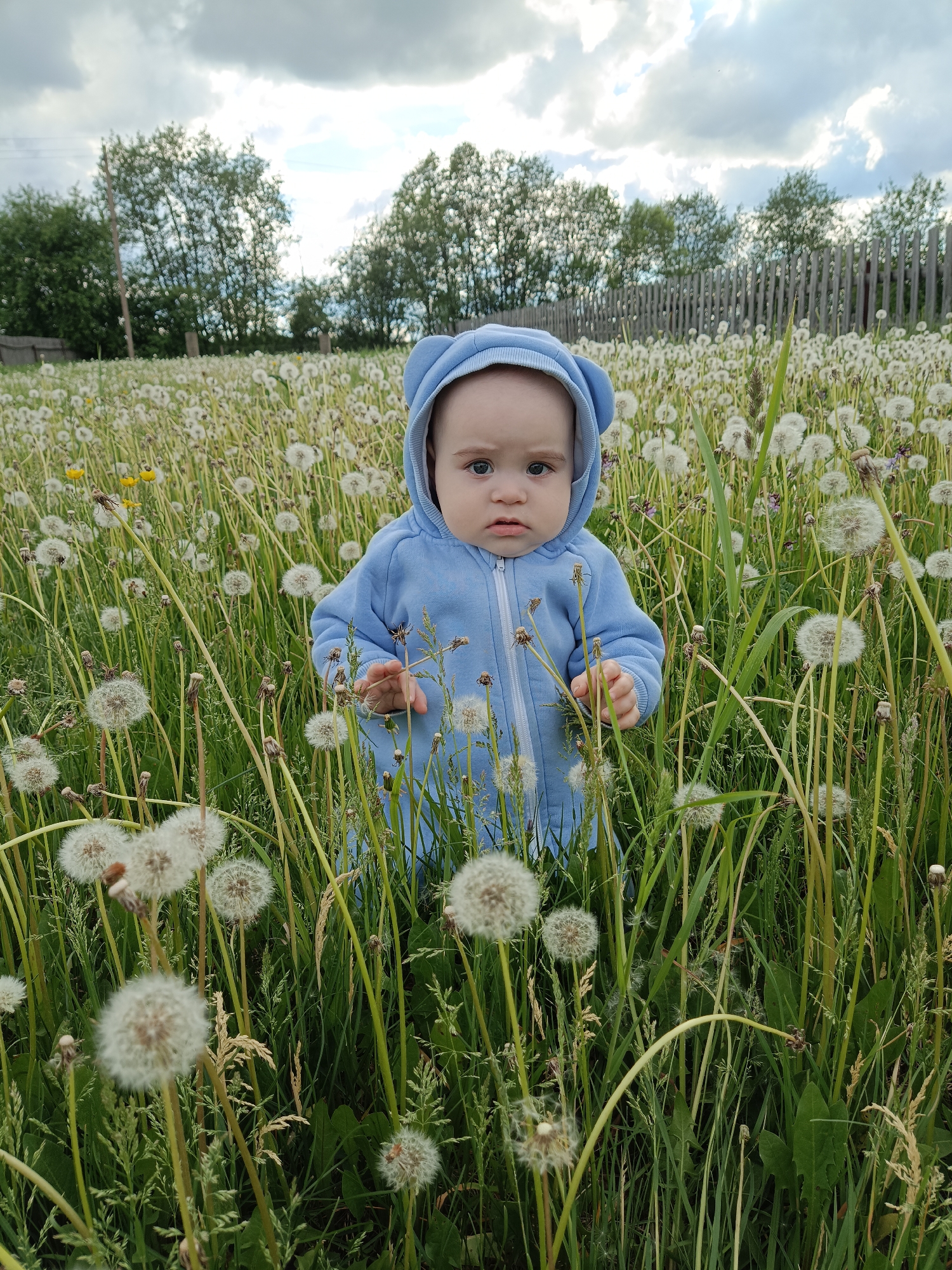A baby wearing a blue hooded jumpsuit stands in a field of dandelions. The dandelions are in seed, forming white spheres. Tall green grass and weeds are also present in the field. The sky is overcast. A wooden fence and trees are visible in the background. The location is Jelpachiha, Russia.