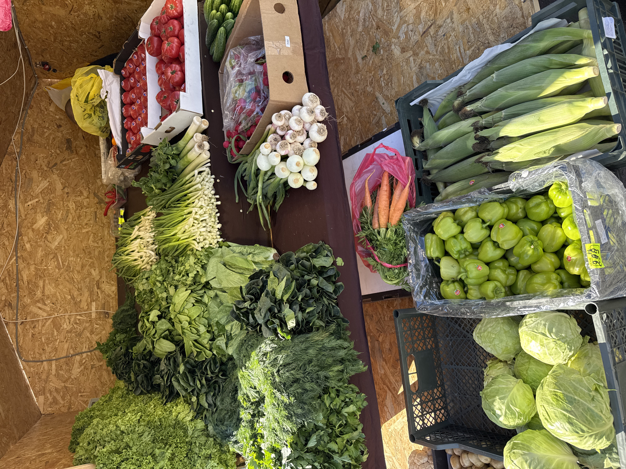 The image shows a vegetable stall, possibly in a market in Saint Petersburg, Russia.
**Objects:**
* Several types of vegetables are visible, including tomatoes, cucumbers, radishes, garlic, onions, carrots, corn on the cob, green peppers, cabbage, lettuce, spinach, dill, parsley, and spring onions.
* The vegetables are displayed on a table and in crates.
* Bags and boxes are used to contain some of the vegetables.
* Price tags are visible on some of the vegetables.
**Environment:**
* The background appears to be a wooden structure, possibly a temporary stall or building.
* The lighting suggests an outdoor setting, likely during the daytime.