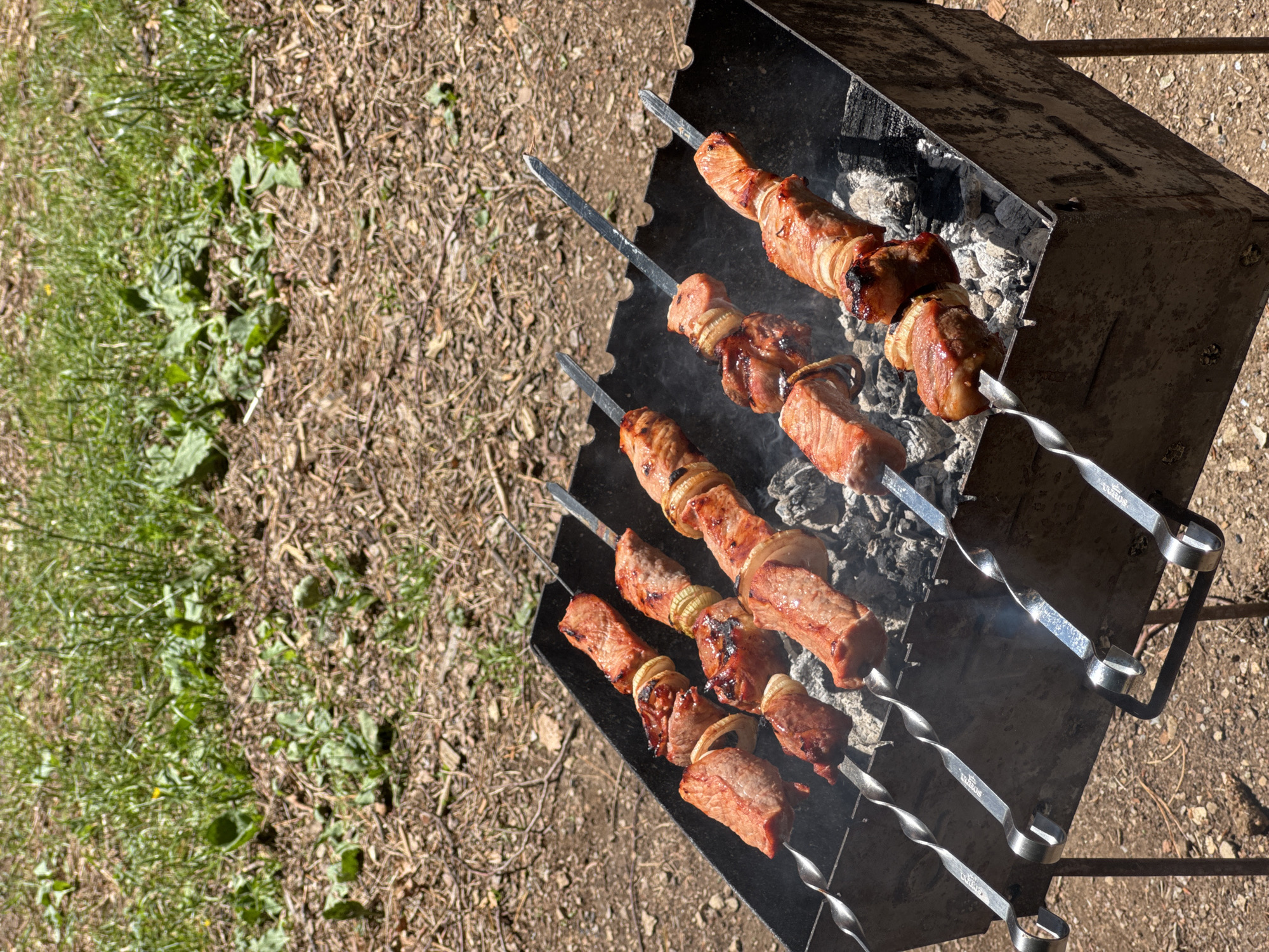 The scene is an outdoor setting featuring a portable metal barbecue brazier. The brazier, dark and rectangular with thin metal leg supports, contains glowing charcoal and ash, emitting wisps of smoke. Five metal skewers are positioned across the top of the brazier, holding alternating chunks of meat, some appearing reddish-brown and cooked, others still reddish, interspersed with thick slices of white onion.
The ground immediately surrounding the brazier consists of dry, light brown soil mixed with fallen leaves and small twigs. Towards the mid-ground and background, patches of green grass and broader-leafed plants emerge from the dry ground cover. The lighting is bright and natural, suggesting direct sunlight. No individuals are visible in the image.
Based solely on the visual information provided in the image, the specific geographic location within Dolovi, Montenegro, cannot be determined.
