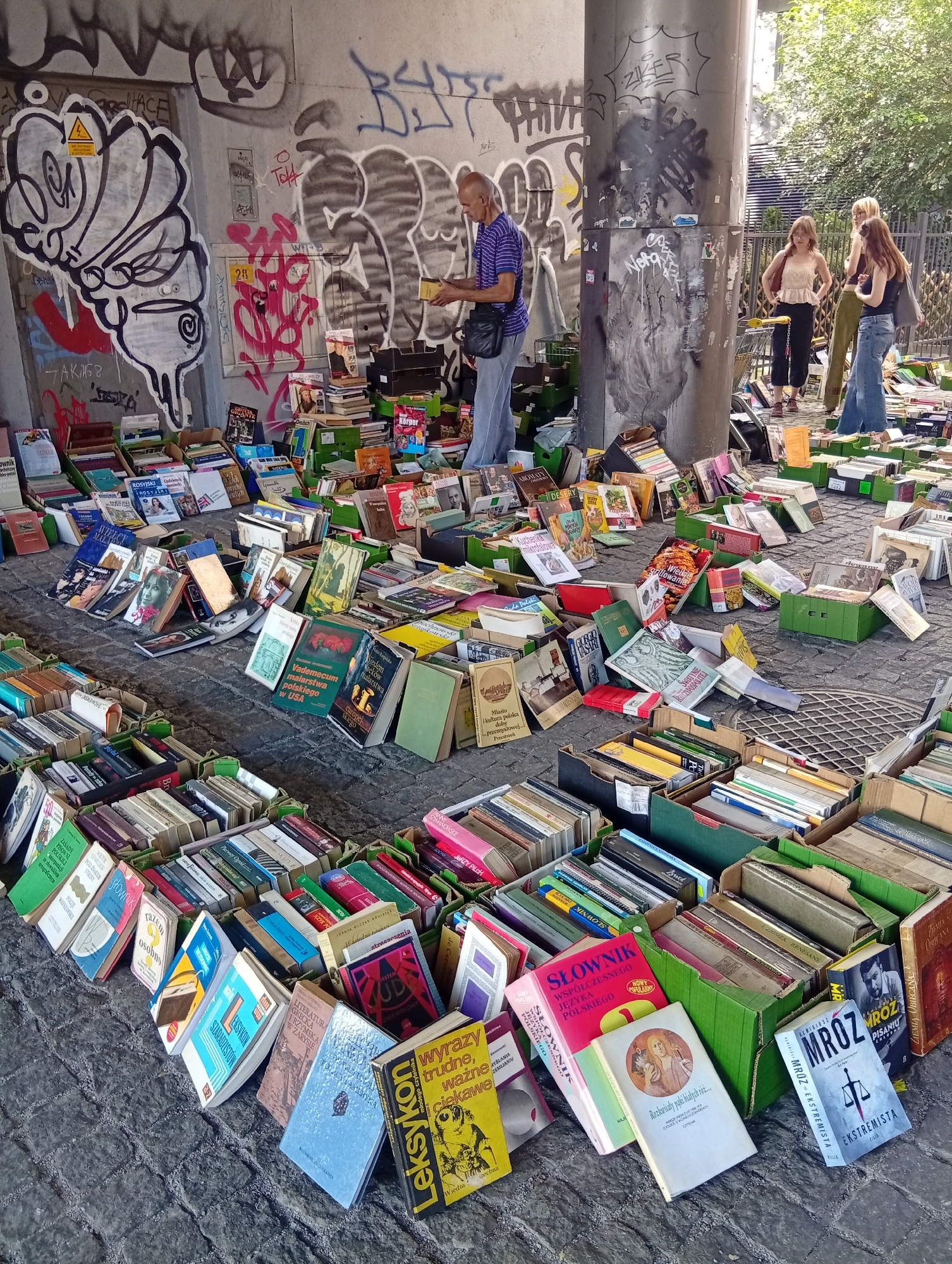 An outdoor book market is set up under a concrete overpass, likely in Wrocław, Poland. The ground is paved with cobblestones and covered with numerous books displayed in cardboard boxes and directly on the ground. A man wearing a striped shirt and jeans is examining a book, holding it in his hands. Behind him, a large concrete pillar is covered in graffiti, and further back, three women stand near some shopping carts. The market appears to be in full swing, with a wide variety of books available for purchase.