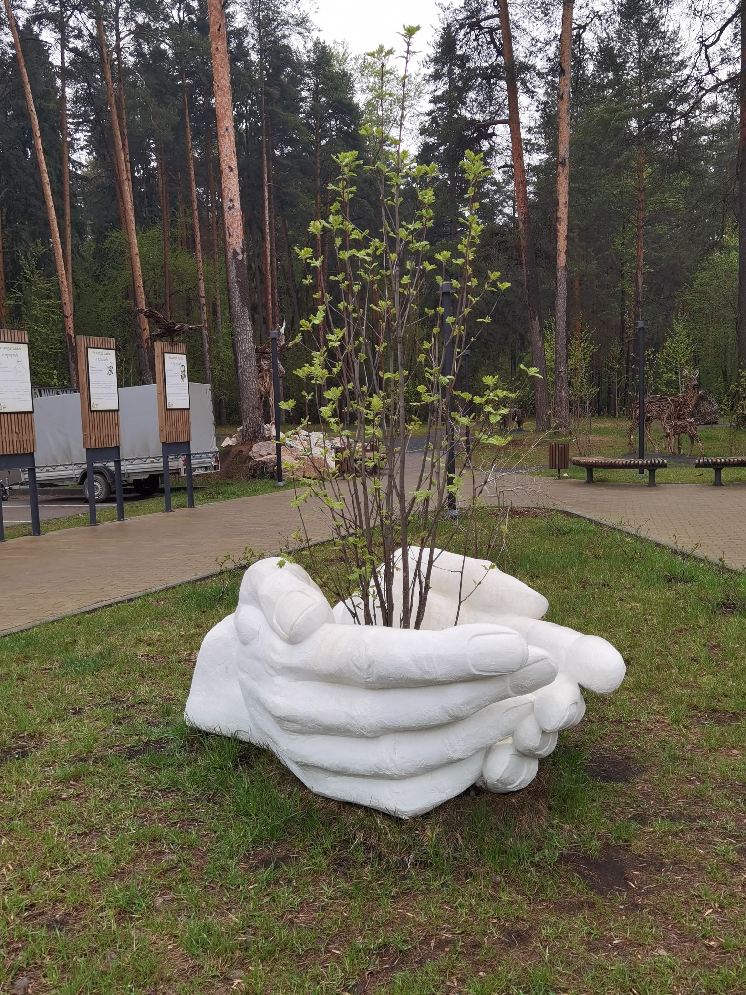 In a park in Perm, Russia, a large white sculpture of two hands holding a small tree stands on a patch of green grass. A paved walkway runs behind the sculpture, and several tall, thin trees are in the background. Benches line the walkway, and informational signs are visible on the left side of the frame. In the far distance to the right of the sculpture, a wooden deer sculpture can be seen. A light-colored utility trailer is partially visible behind the informational signs. The sky is overcast.