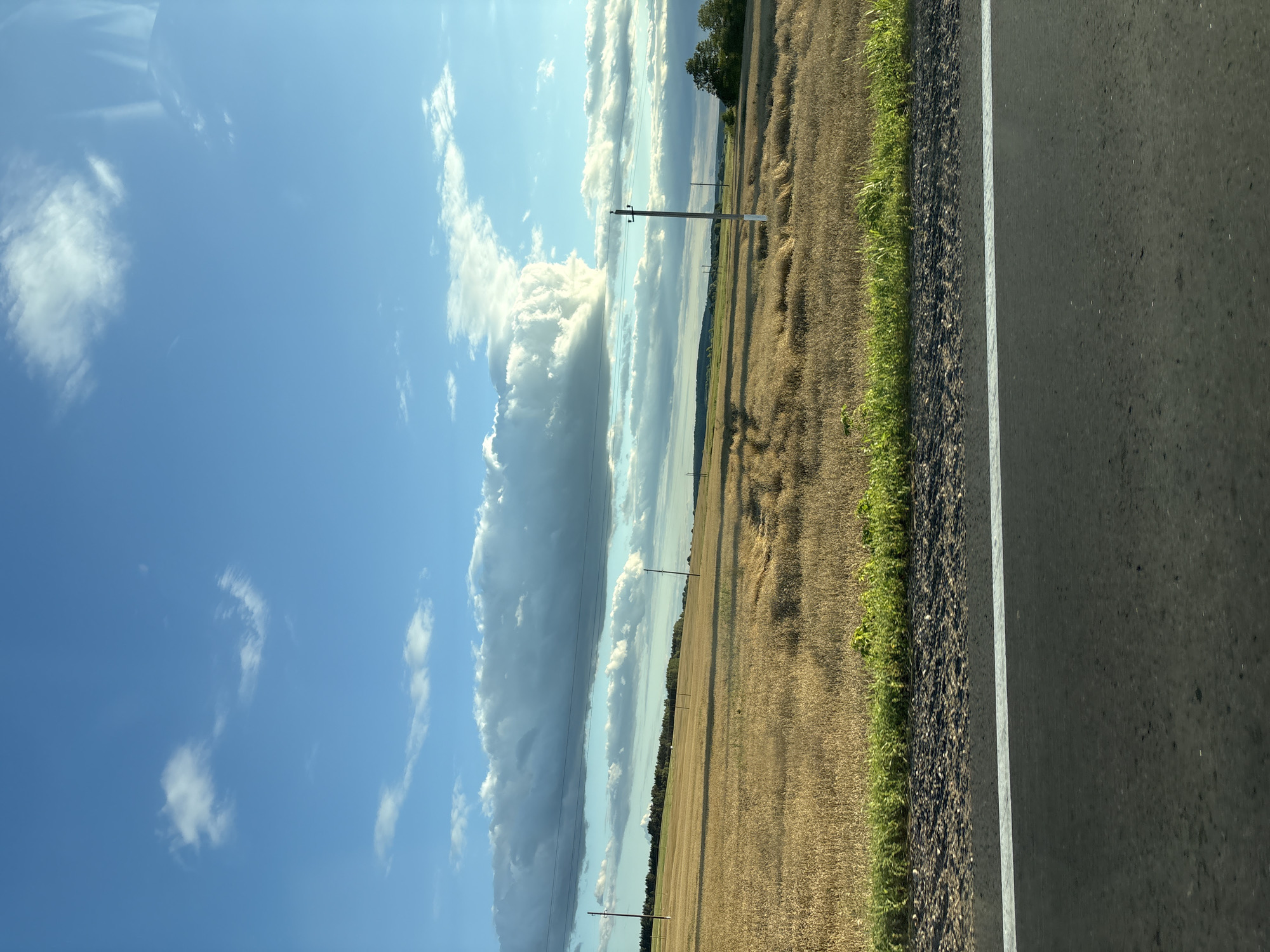 The image captures a wide view of a rural landscape, likely in the vicinity of Турэцкі сельскі Савет, Belarus, during the daytime. The foreground is dominated by a paved road with a distinct white line marking its edge. Beyond the road, a strip of green vegetation separates it from a vast field of dry, golden-brown crops, possibly wheat or hay. The field stretches towards the horizon, showing gentle undulations and tire tracks from agricultural machinery.
In the middle ground, several utility poles with overhead wires are visible, spaced across the field, indicating the presence of electrical infrastructure. The horizon is lined with a dark band of trees.
The sky above is a vibrant blue, punctuated by a variety of clouds. A large, dramatic cloud formation, white and puffy, is prominent in the upper left quadrant. Other smaller clouds are scattered across the sky, with some appearing darker and more dense, suggesting potential changes in weather. The lighting suggests it is late afternoon or early evening, with the sun casting long shadows across the field. There are no people or animals visible in the frame.