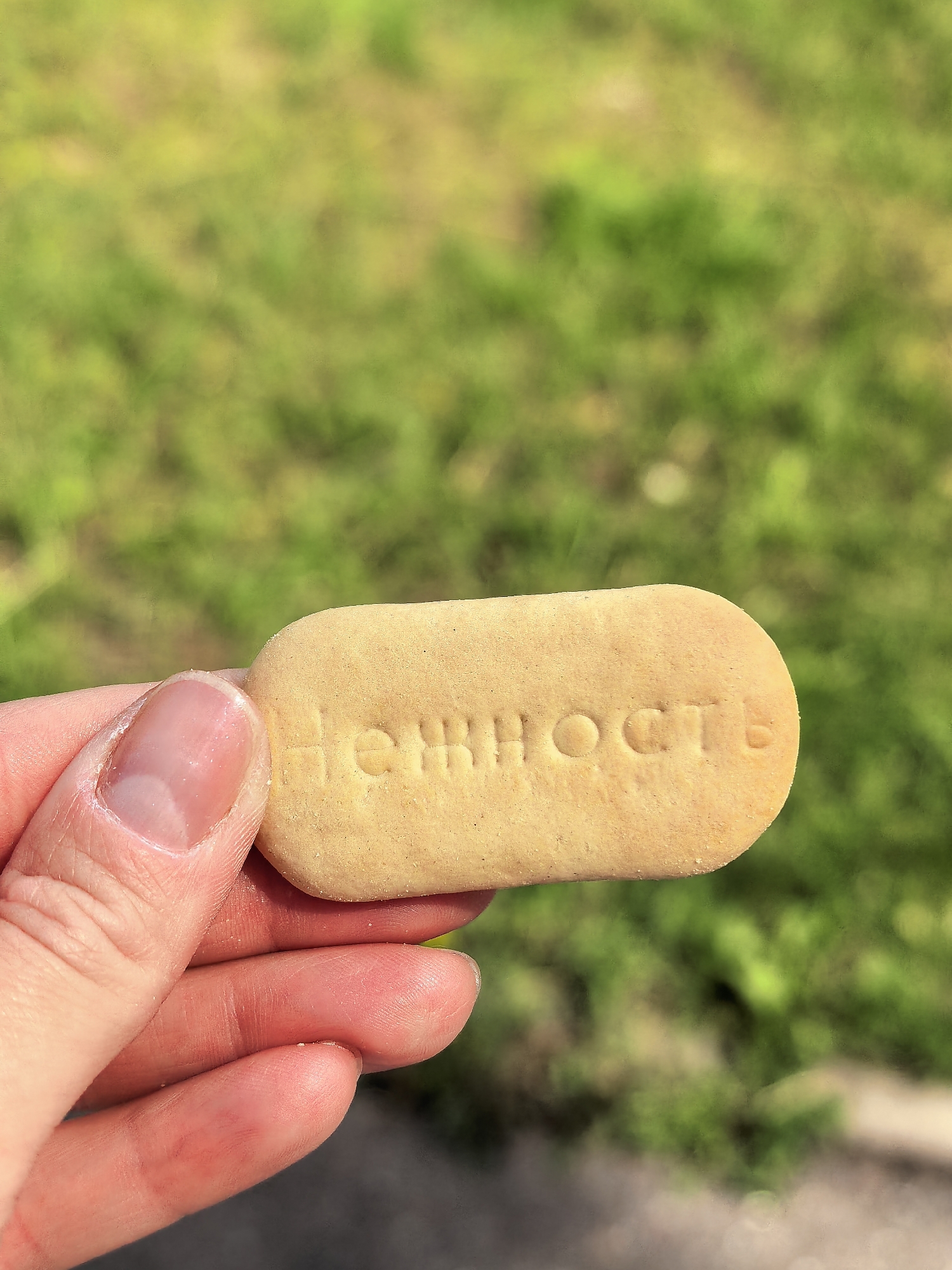 A close-up shot shows a hand holding a light brown, oval-shaped cookie embossed with the word "Нежность" (Nezhnost), which translates to "Tenderness" in Russian. The cookie is positioned in the foreground, with the thumb and index finger of a person's left hand gently holding its right side. The background is a blurred expanse of green grass, suggesting an outdoor setting. The lighting indicates it is daytime, with sunlight illuminating the scene. The image does not contain any specific landmarks or elements that would allow for precise localization within the city of Sterlitamak, Russia.