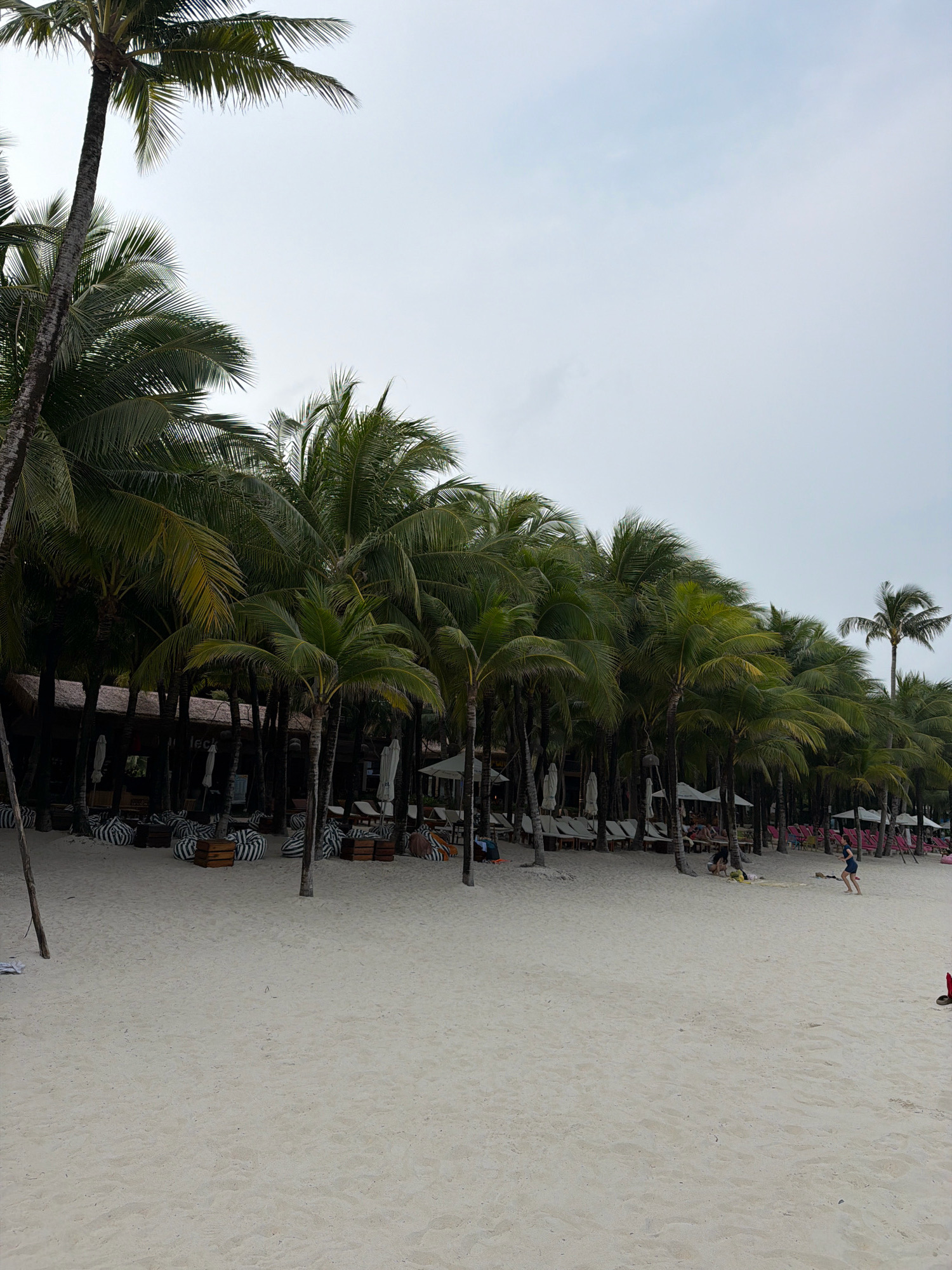 The image captures a tropical beach scene in Phu Quoc, Vietnam, likely on a resort property. The foreground is dominated by a wide expanse of fine, light-colored sand. A line of lush green palm trees stretches across the middle ground, casting shadows on the sand. Behind the palm trees, there appears to be a low-rise structure with a thatched roof, suggesting a beach bar or restaurant. Beach chairs and loungers are visible, some with striped cushions, indicating a relaxing atmosphere. In the far right of the image, a young child is running on the sand, and a woman is partially visible in the lower right corner. The sky is overcast, with a pale, diffused light. The overall impression is one of a peaceful, well-maintained beach destination.