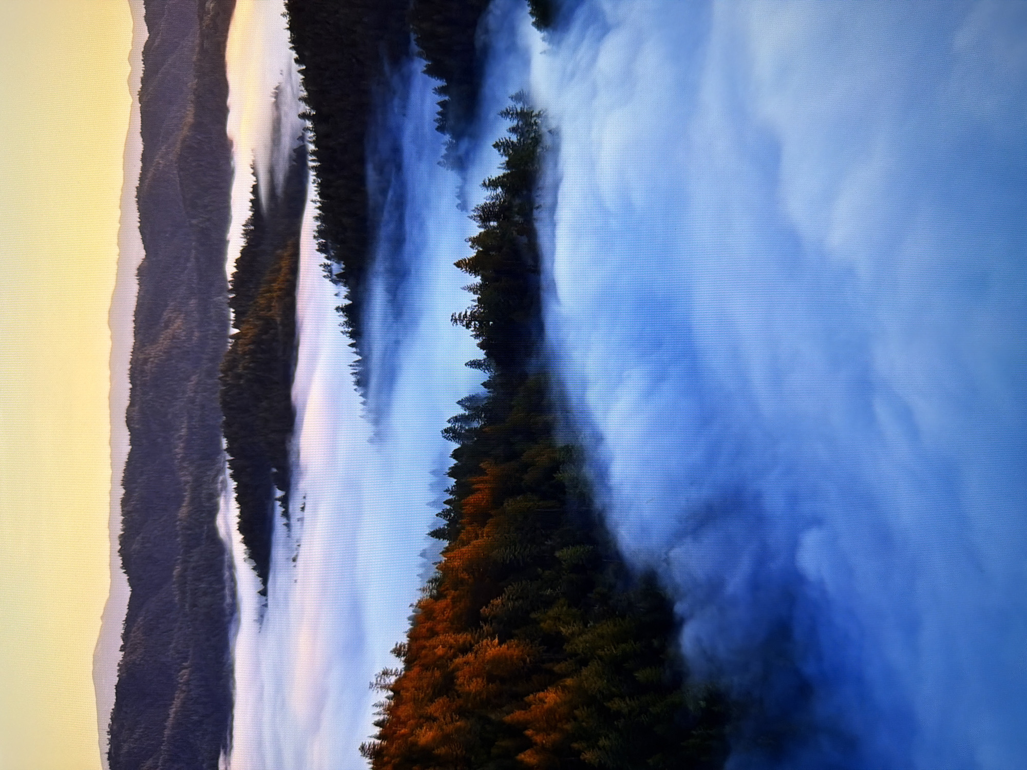 The image depicts an aerial view of a misty forest landscape with rolling hills and a gradient sky. The foreground is dominated by a dense forest with trees, some of which are illuminated with warm, orange light, suggesting sunrise or sunset. Below and winding through the trees is a thick layer of fog, appearing blue and white. In the background, more forested hills recede into the distance, with the fog creating a sense of depth and obscuring the lower portions of the landscape. The sky transitions from a pale yellow near the horizon to a soft blue. The image does not contain any elements or context that would allow for identification of the location as Kyiv, Ukraine.