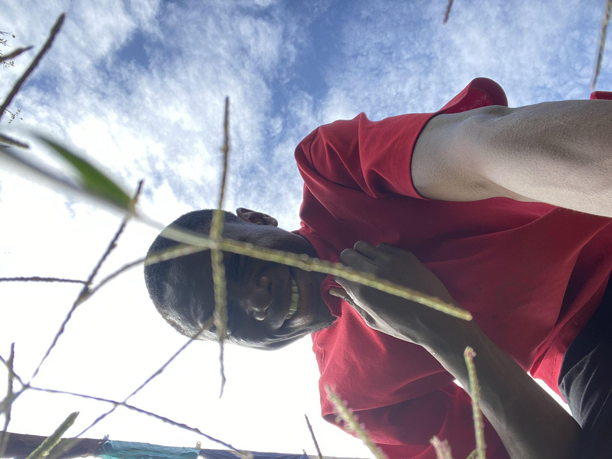 A low-angle, outdoor, medium shot captures a Black man in Bukuru, Nigeria, smiling as he looks into the camera through thin, leafy branches and stalks of grass. The man, who is wearing a bright red crewneck t-shirt and black trousers, is positioned in the lower center of the frame. His left hand is pulled up to his chest, near the collar of his shirt, and his right arm is bent at the elbow, with his forearm extended towards the right side of the image. His teeth are visible in his wide smile, and his eyes are looking directly at the viewer. The background consists of a bright, white sky with scattered, wispy clouds, indicating it is daytime. The overall scene suggests a candid moment, possibly taken by the subject himself, and the natural elements in the foreground add a sense of organic framing to the portrait.