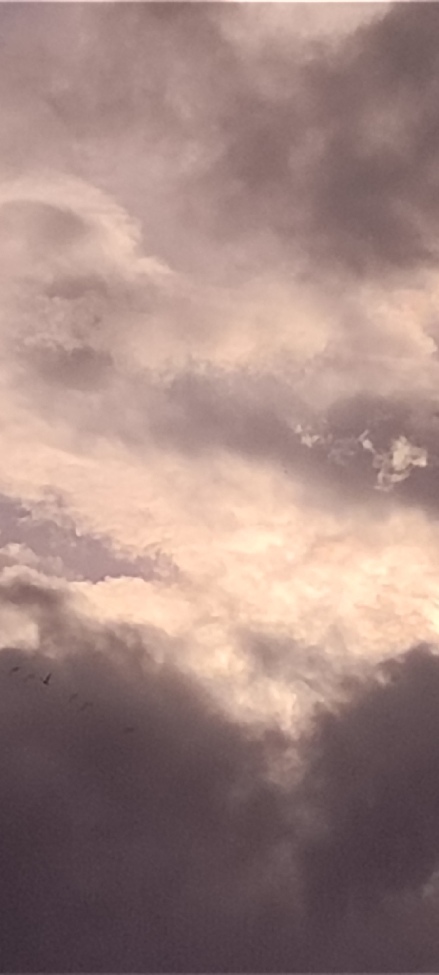 The image shows a sky filled with clouds in Lhokseumawe, Indonesia. The clouds range in color from pale pink and white to dark gray. A few birds are flying in the lower left area of the image. The lighting suggests a sunrise or sunset.