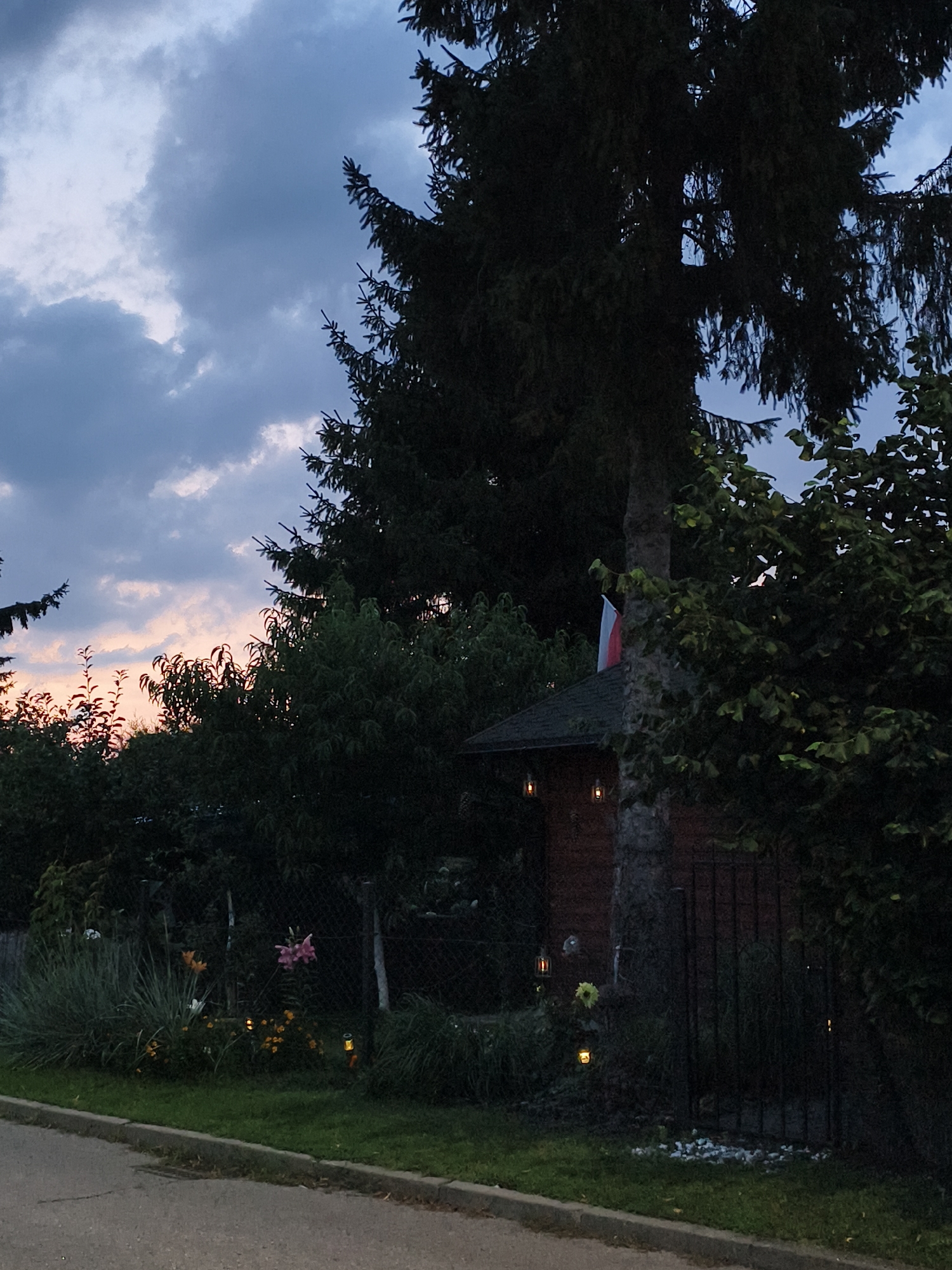 The image captures a twilight scene in a garden with a large evergreen tree dominating the right side. Beneath the tree, a small wooden structure with a dark green roof is visible, adorned with two lanterns that emit a warm glow. A Polish flag, red and white, is affixed to the trunk of the evergreen tree. The foreground features a paved area, possibly a street or sidewalk, bordering a patch of grass and a garden bed. The garden bed contains various plants, including tall grasses, flowers in shades of pink and yellow, and smaller yellow flowers. A wire mesh fence encloses the garden, and beyond it, more dense foliage and trees can be seen. The sky above is filled with dramatic, dark clouds, with hints of pink and orange light near the horizon, suggesting the last moments of sunset. The overall impression is one of a quiet, possibly rural or suburban, setting in Tczew, Poland. There are no people visible in the image.