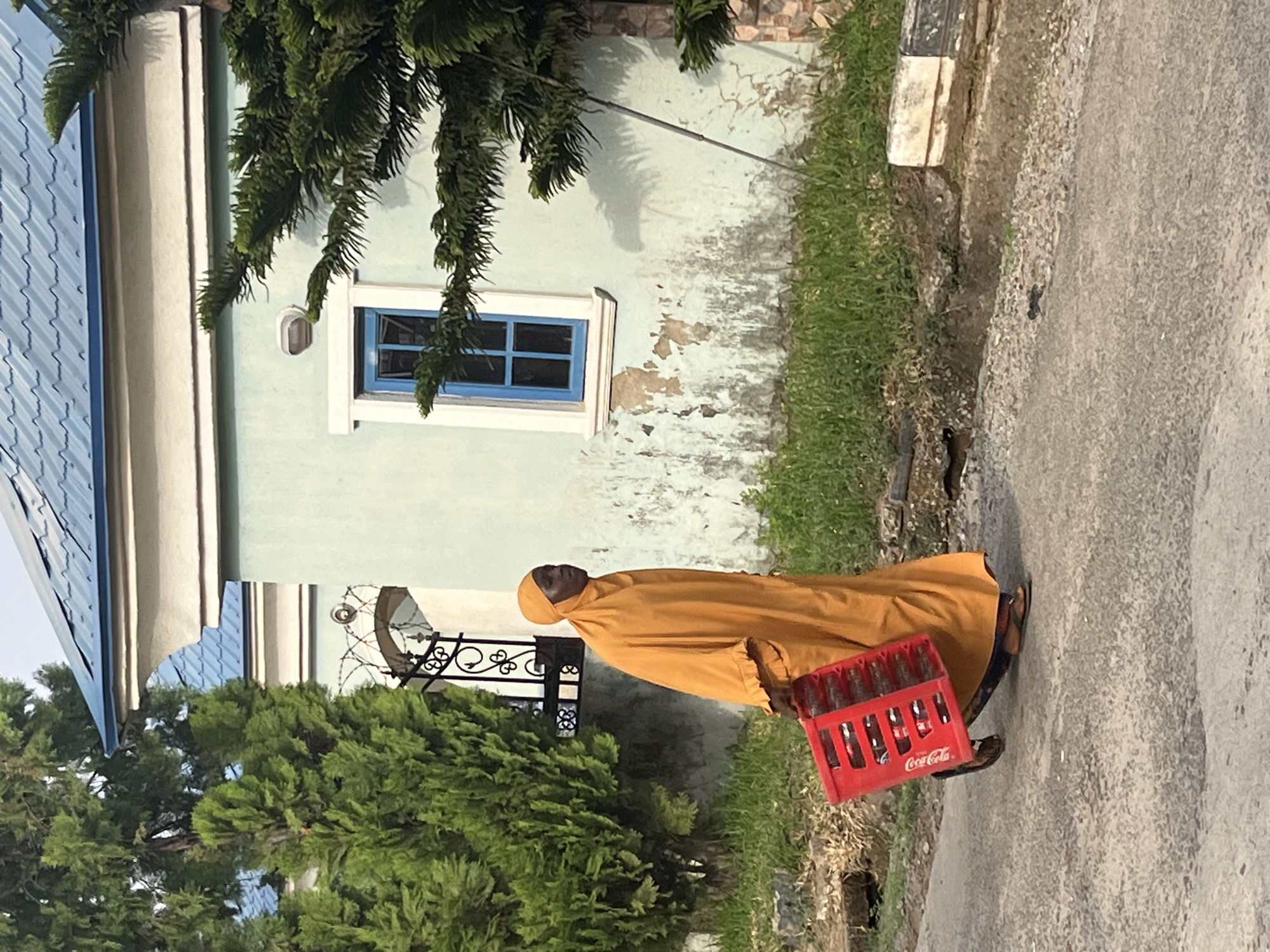 A woman clad in an orange garment carries a red Coca-Cola crate containing bottles along a concrete pavement. Adjacent to the pavement is a building with a blue-framed window and peeling paint. Foliage from trees partially obscures the building and ironwork. The location appears to be a residential area, possibly in the city of Abuja, Nigeria.