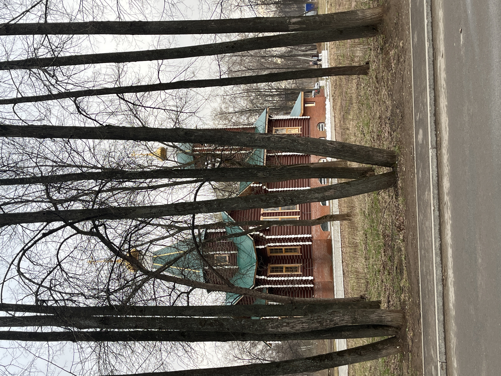 The image displays an outdoor scene in what appears to be late autumn, winter, or early spring, given the bare deciduous trees and overcast sky. The perspective is through a line of trees, framing a building and a road.
In the foreground, numerous tall, dark tree trunks with bare branches dominate the left side and frame the view. Their skeletal branches create an intricate pattern against the muted, grey sky.
The primary subject is a distinctive wooden building, likely an Orthodox church, situated behind the trees. It features reddish-brown log walls, intricate white decorative trim around windows and eaves, and multiple windows with light-colored frames. The building has several pointed, green-tiled roofs and at least two prominent golden, onion-shaped domes or cupolas. One of the golden domes is topped with a distinct Orthodox cross. An icon or religious image is visible on one of the building's exterior walls, further indicating its ecclesiastical nature.
To the right of the foreground trees and building, a paved road or asphalt path runs horizontally across the frame, marked by a faded white line. The ground between the trees and the road consists of dry, sparse grass and bare earth. In the mid-ground, beyond the church, more bare trees line what appears to be a distant path or alley. A few indistinct figures, likely people, are visible walking in this background area. The overall atmosphere is quiet, characteristic of a cooler, overcast day in Chaikovsky, Russia. No legible text is visible in the image.