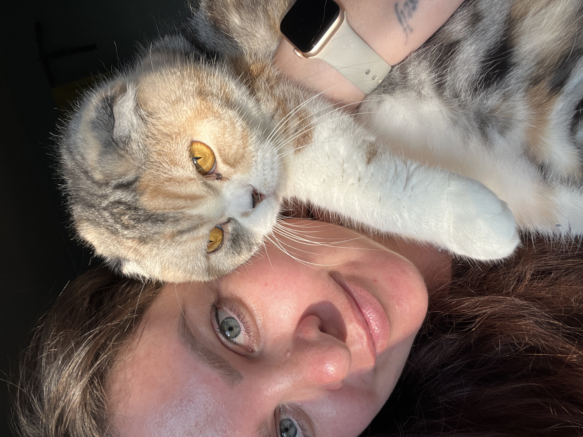 A woman with brown hair and blue eyes is taking a selfie with her cat. The cat is a Scottish Fold with gray, white, and orange markings and yellow eyes. The woman is smiling and holding the cat in her arms. The cat is looking at the camera with a serious expression. A smartwatch is visible on the woman's wrist. The background is dark and out of focus, with some sunlight hitting the woman's face. There is no discernible information about the location in Noviy, Russia.