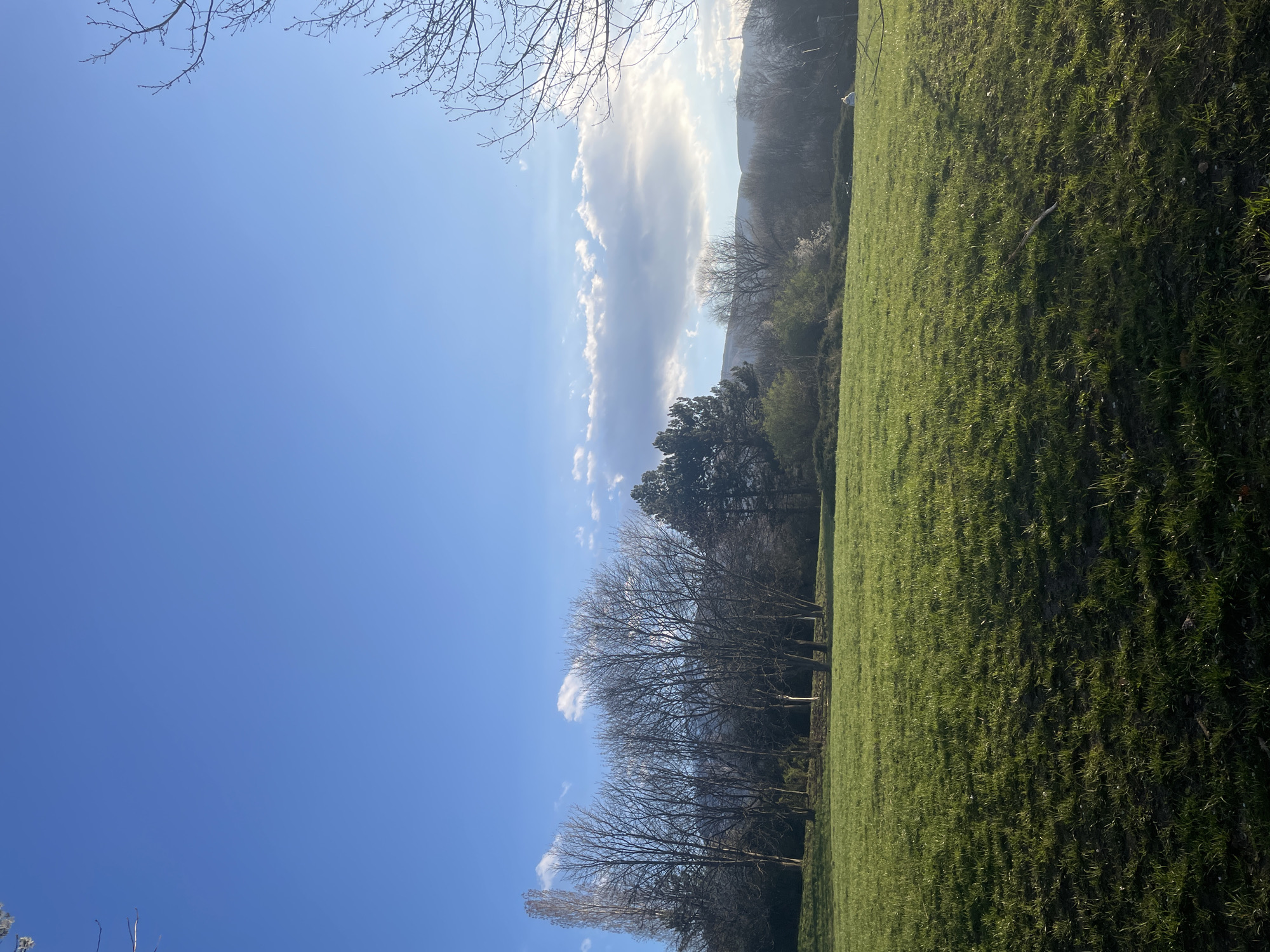 The image depicts a grassy field on a sunny day. In the background, there are trees, some without leaves, and a distant mountain obscured by haze. A strip of clouds extends vertically in the middle of the frame. In the top left corner, some bare tree branches reach into the bright blue sky. The angle suggests a low perspective, looking upwards towards the sky.
While the image shares similar characteristics with parks and green spaces found in Sofia, Bulgaria, such as the presence of mountains, trees, and grassy fields, there are insufficient details to conclusively determine the exact location within the city.