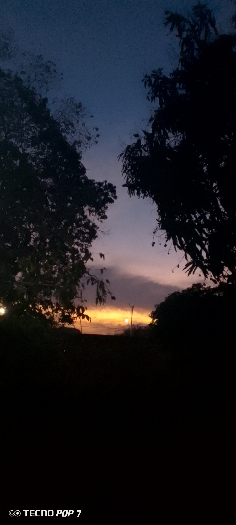 The image captures a scene at twilight or dusk, likely in Altagracia, Venezuela. Two dark silhouettes of trees frame the sky. A golden band of light near the horizon indicates the setting sun. Above, the sky transitions from pinkish hues to a dark blue. There are two visible streetlights in the distance. The lower portion of the image is obscured in darkness. A watermark "TECNO POP 7" is present in the bottom left corner.