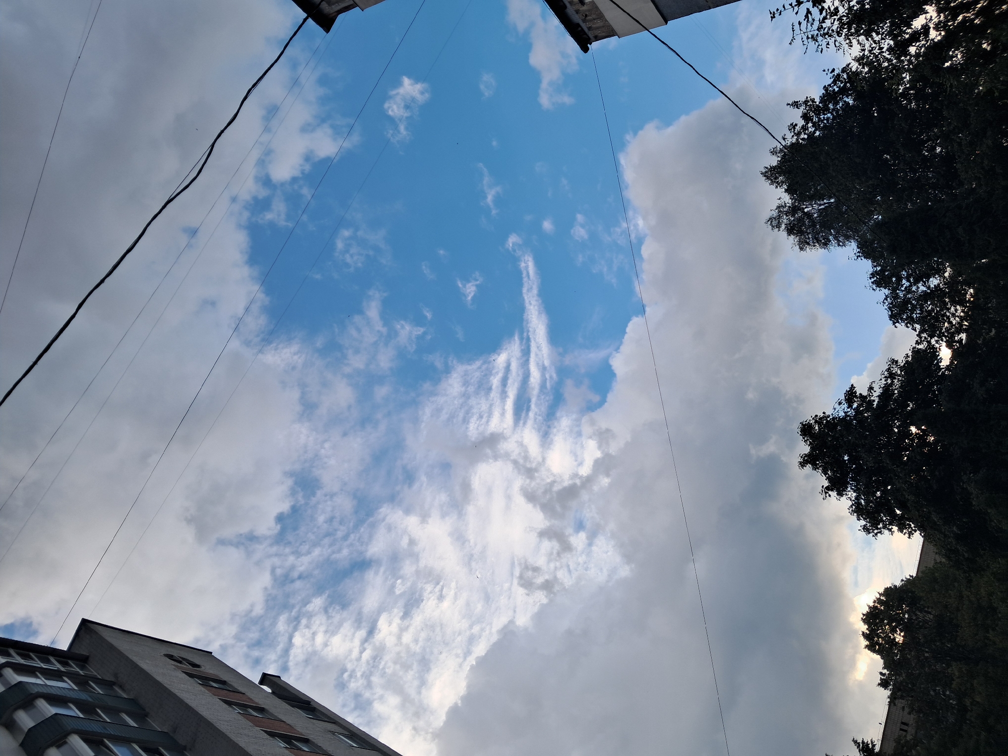 A low-angle, full shot captures the sky above a city. The sky is a mix of bright blue and white clouds. Overhead, power lines stretch across the frame. On the left, a portion of a gray, multi-story building is visible, with rows of windows. On the right, the corner of another building with a beige facade is seen. In the foreground, the tops of dark green trees are silhouetted against the sky. The scene suggests an urban environment on a partly cloudy day.