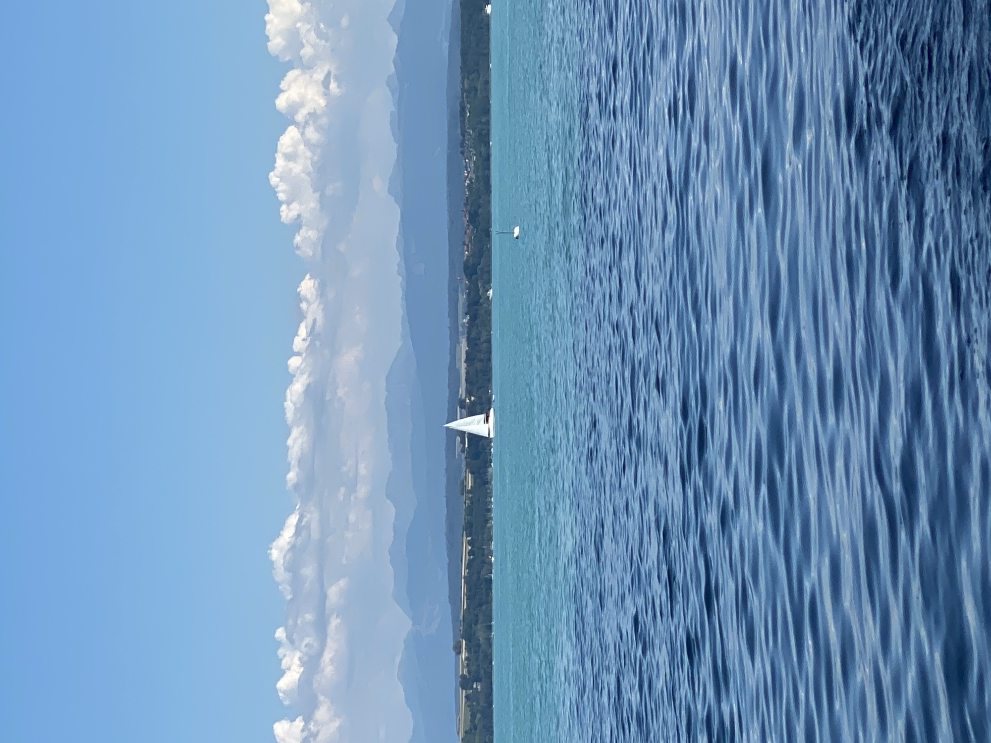 A sailboat with white sails is pictured on a body of water under a clear blue sky with scattered white clouds. The water in the foreground is a deep blue, while the water further back is a lighter turquoise. A distant shoreline with trees and buildings is visible, with a range of mountains behind it. In the middle distance, a white buoy is floating on the water. The overall scene depicts a calm day on a lake or sea. The location appears to be Lake Neuchâtel, near Cortaillod, Switzerland, given the distinctive mountain range in the background and the typical appearance of the lake.