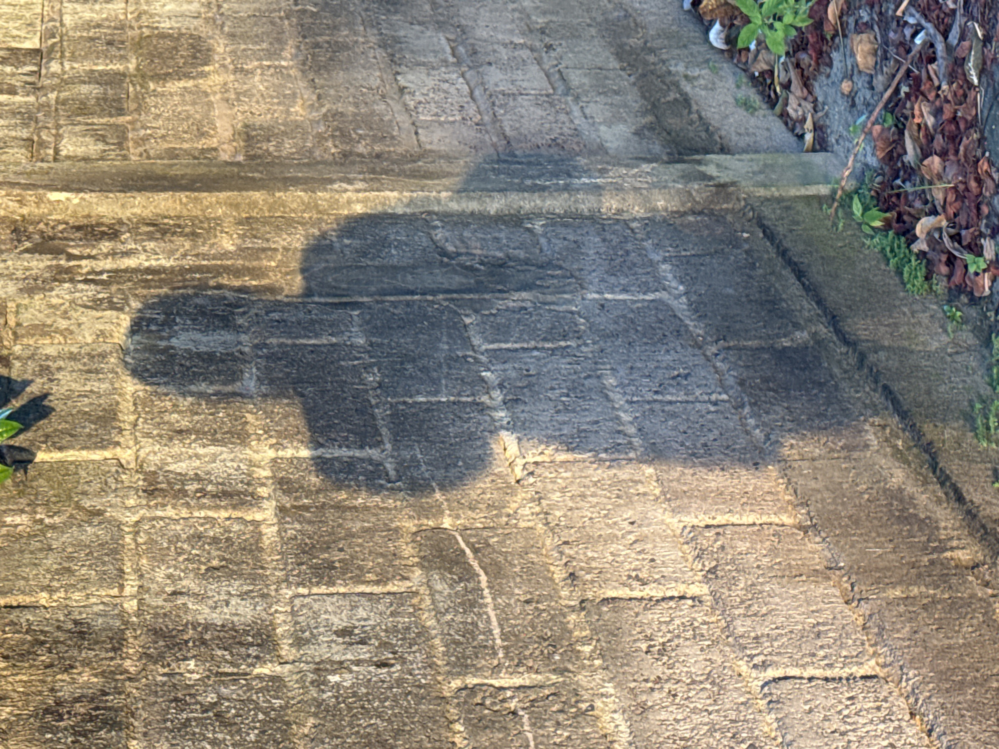 The image depicts a section of a brick or stone-paved walkway or patio. The surface is mottled with patches of light and dark, suggesting variations in moisture or staining. To the right, the walkway meets an edge or a curb, with some vegetation (leaves and small plants) visible in the bordering area. The lighting appears to be dappled, with some areas in shadow. The brick work is made of brick shaped stones and appears to be in a city. It is not possible to provide specifics regarding people, actions, or interactions or to confirm if the location is in Kuta, Indonesia, based on the information provided.